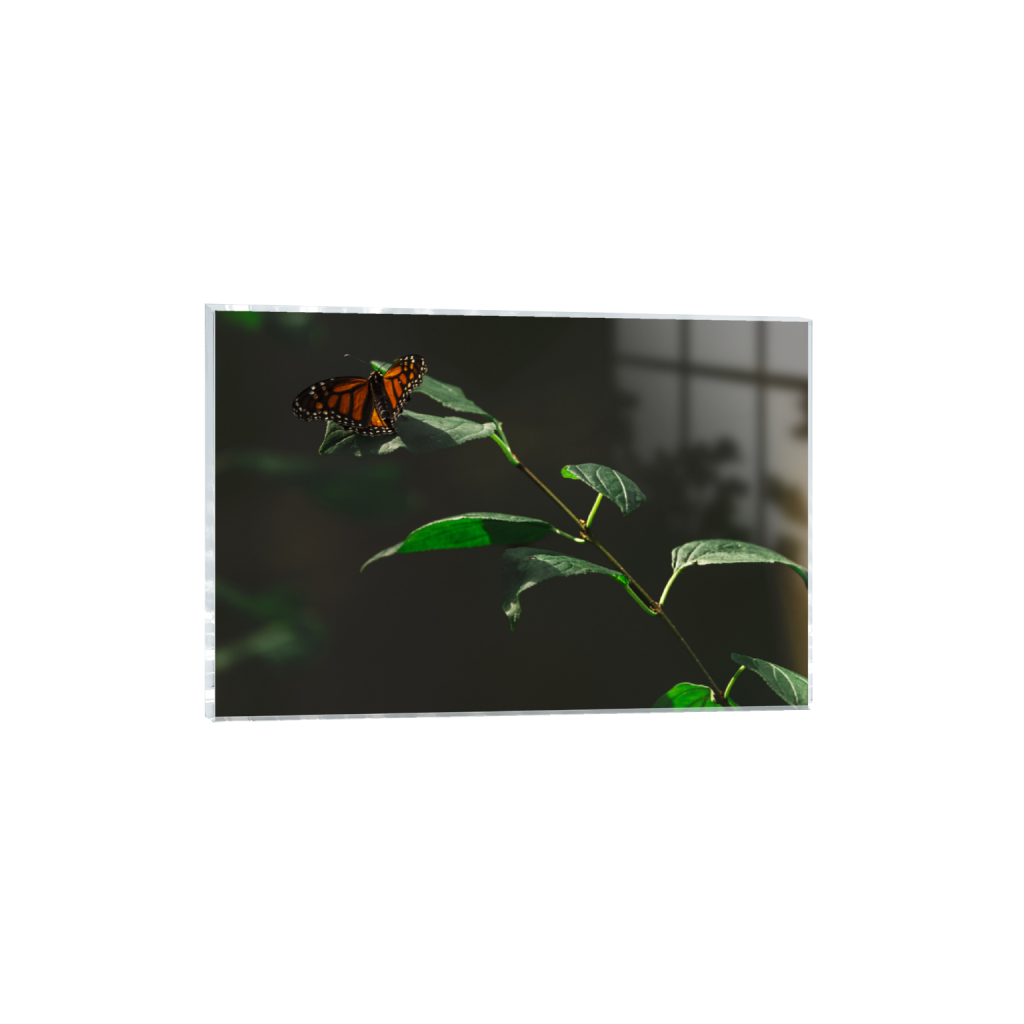 ptq_17_3_0_0_5014_3343_0_false_ffffff_0_0_.png