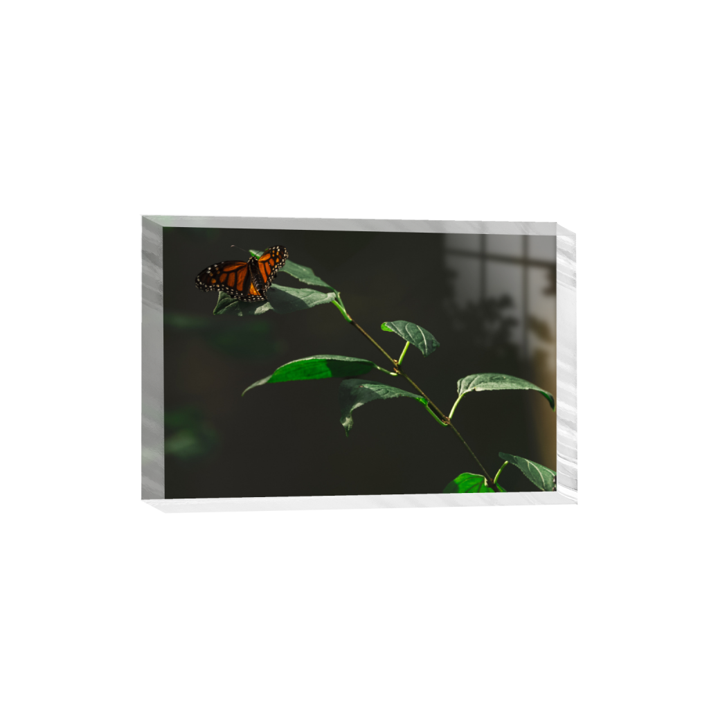 ptq_300_3_0_0_5014_3343_0_false_ffffff_0_0_.png