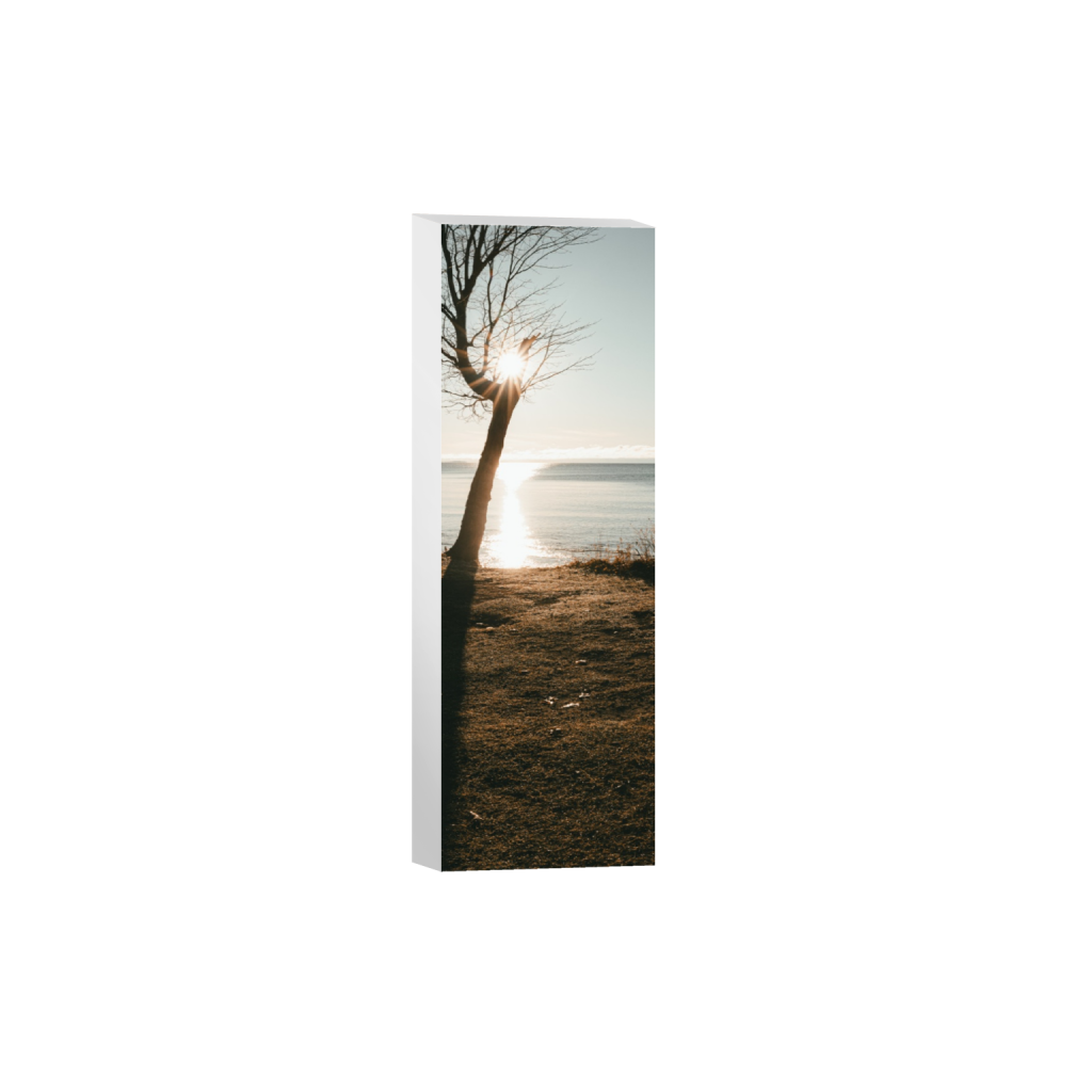 ptq_7_2_940_0_1881_5643_0_false_ffffff_0_0_.png