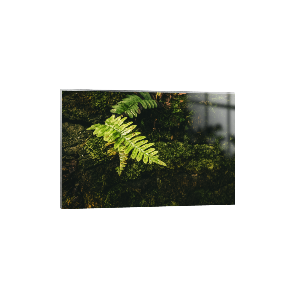 ptq_13_3_0_0_6000_4000_0_false_ffffff_0_0_.png