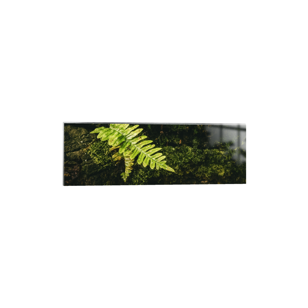 ptq_13_2_0_1000_6000_2000_0_false_ffffff_0_0_.png