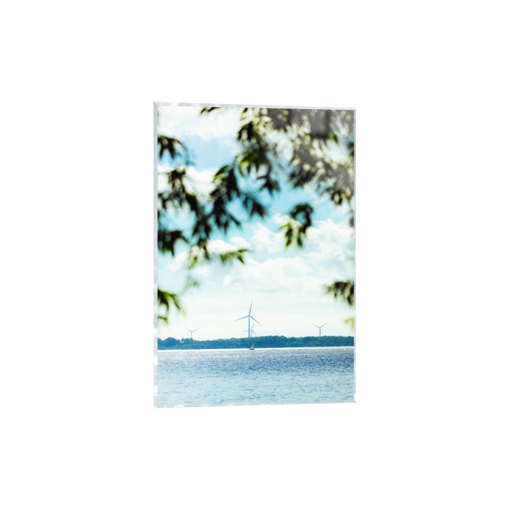 ptq_17_3_0_0_3240_4861_0_false_ffffff_0_0_.png