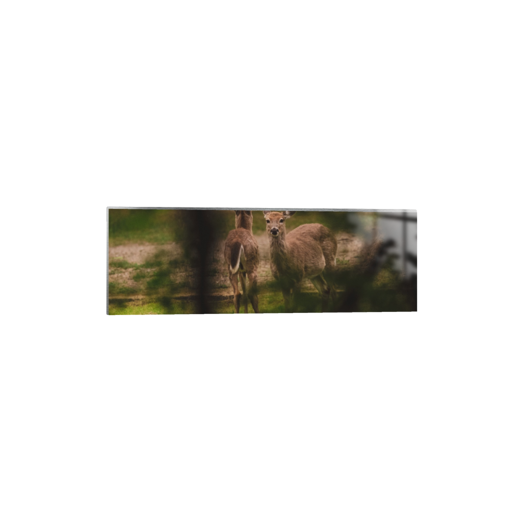 ptq_13_2_0_923_5539_1846_0_false_ffffff_0_0_.png