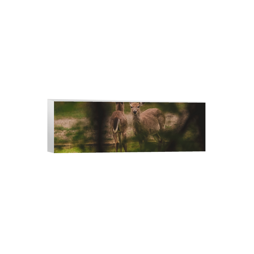 ptq_7_2_0_923_5539_1846_0_false_ffffff_0_0_.png