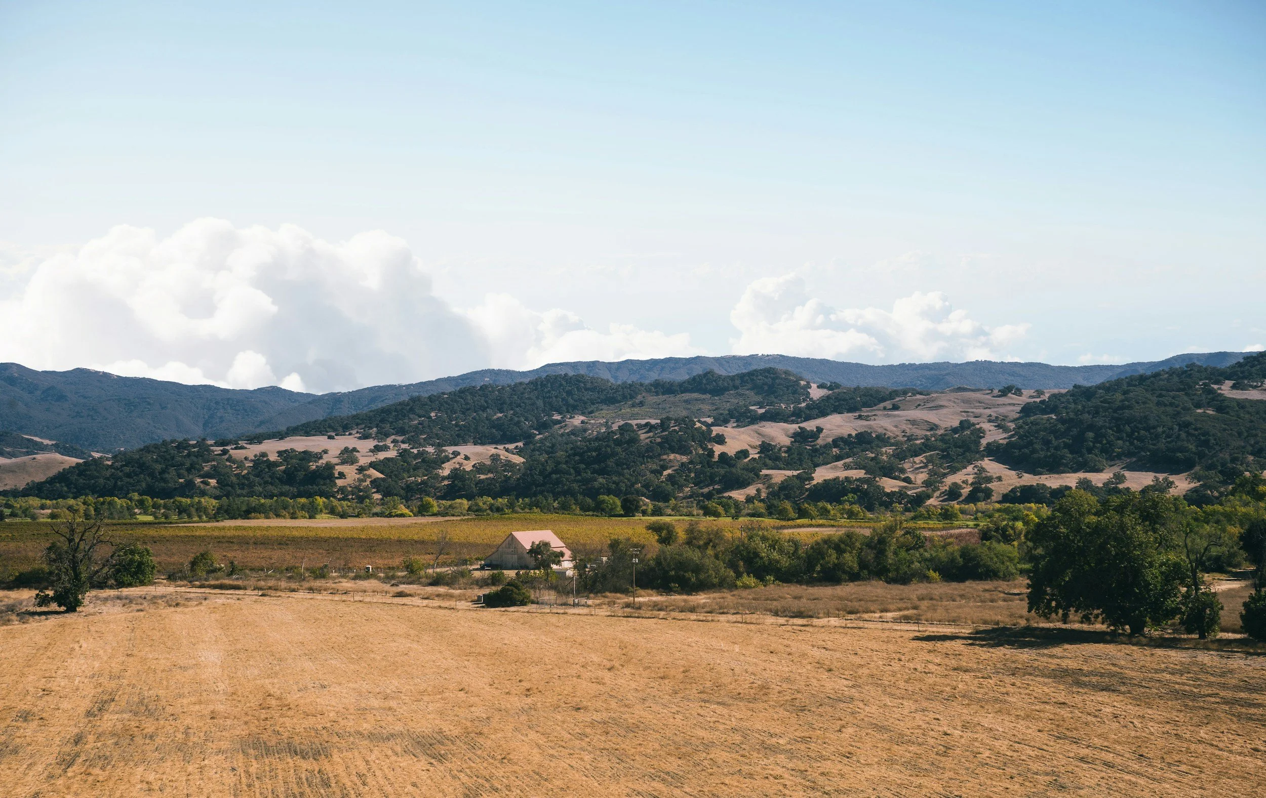  Midday Sonoma County agricultural land. 