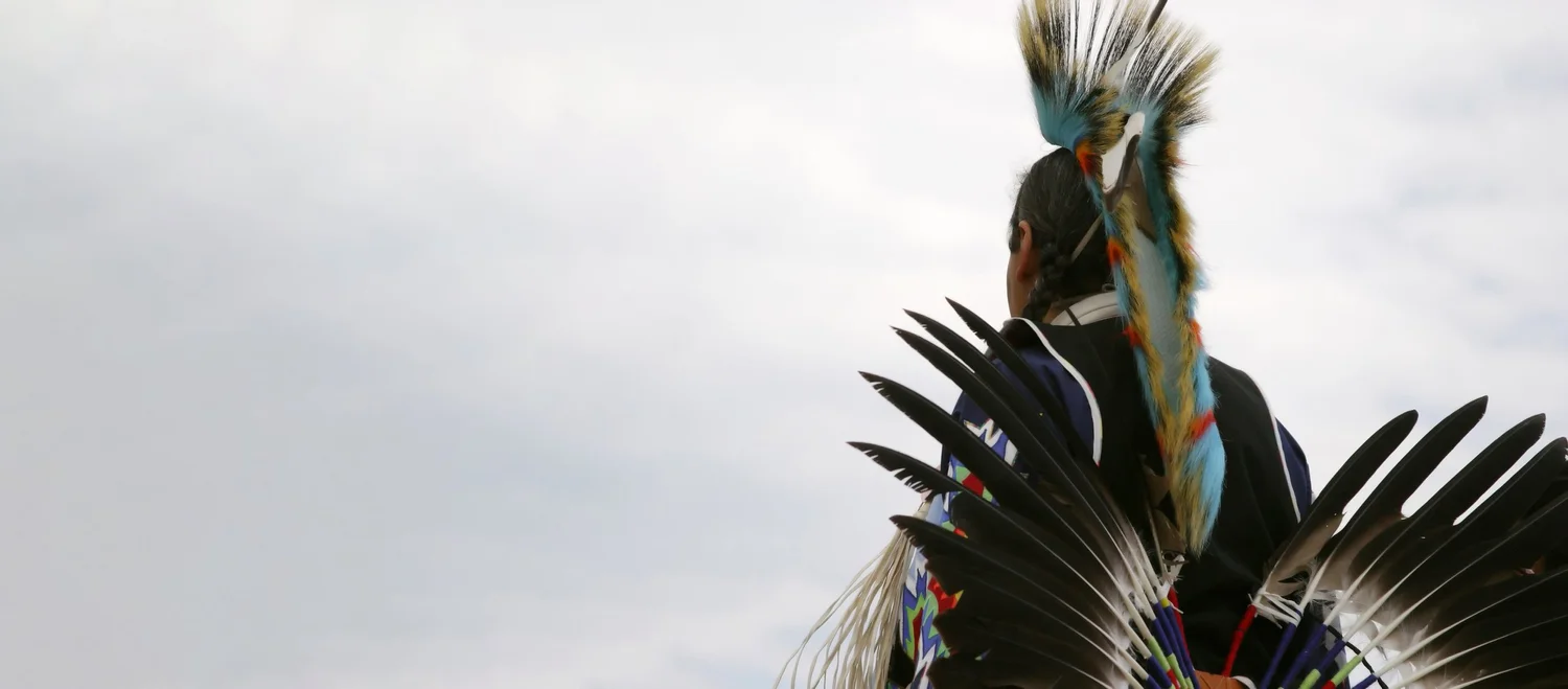 Indigenous Power & Light Fund
