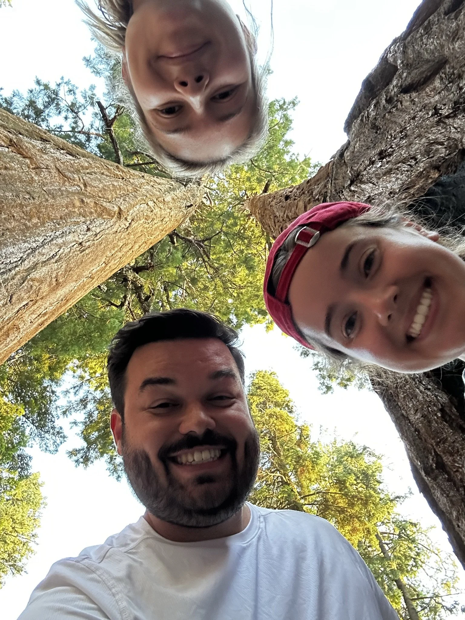 Jon, Madeline, and Celeste at Sequoia National Park during their cross country road trip in August 2023. 

Submitted by Madeline Belknap