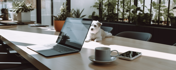 Image of a dog laying on a cafe table in front of laptop.