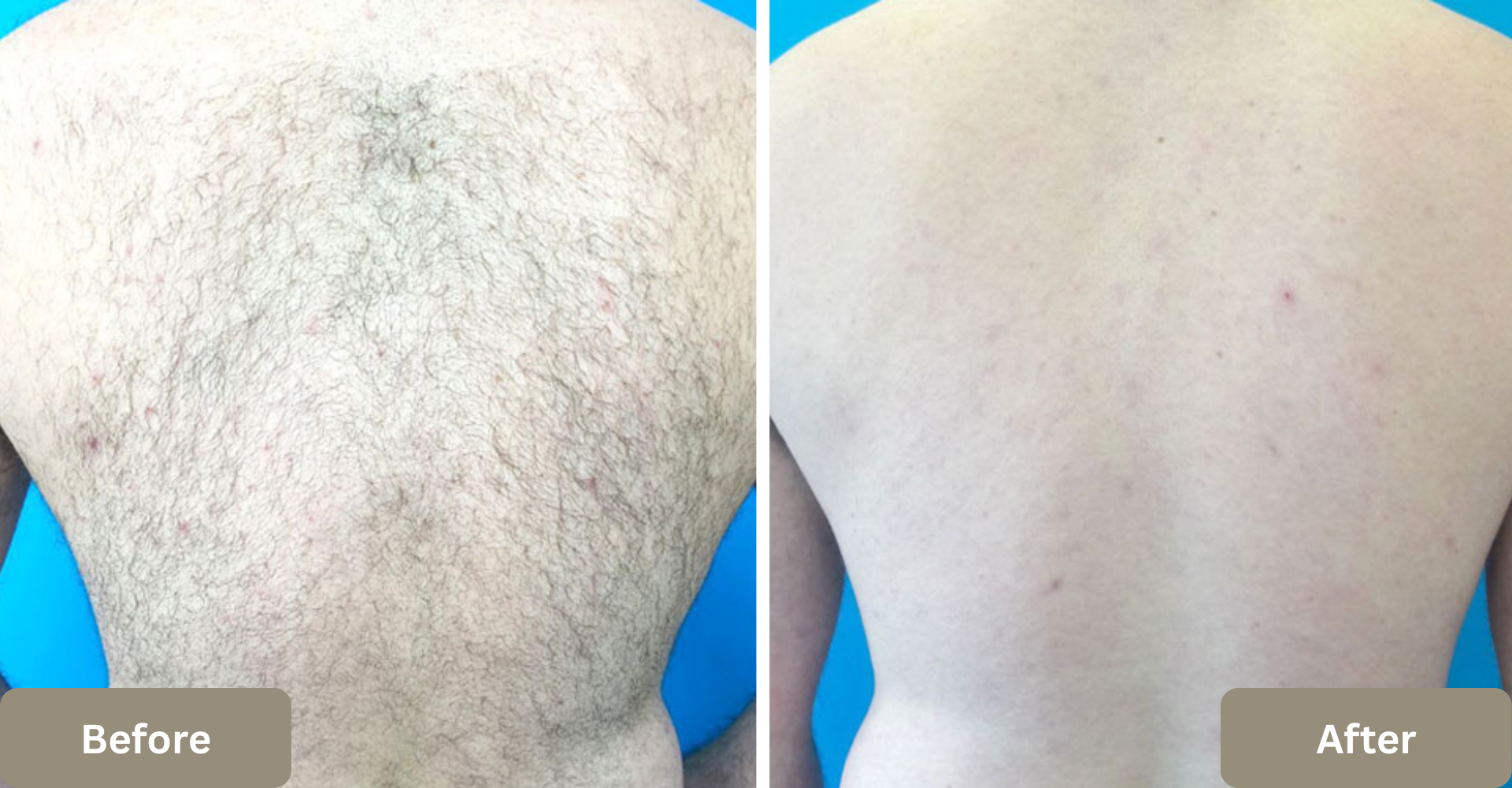 Untitled (1920 x 1000 px) (3).png