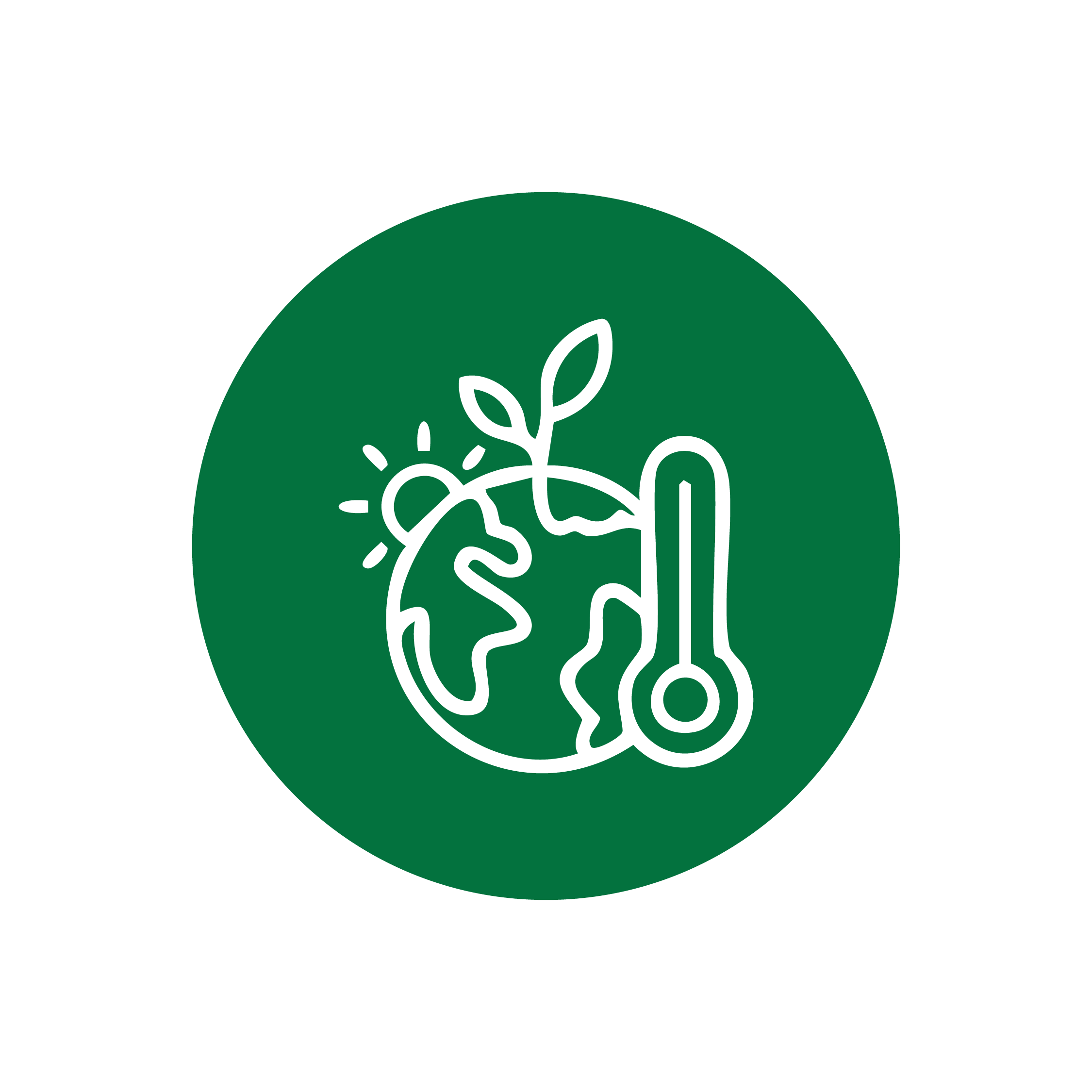 Iconos web-11.png