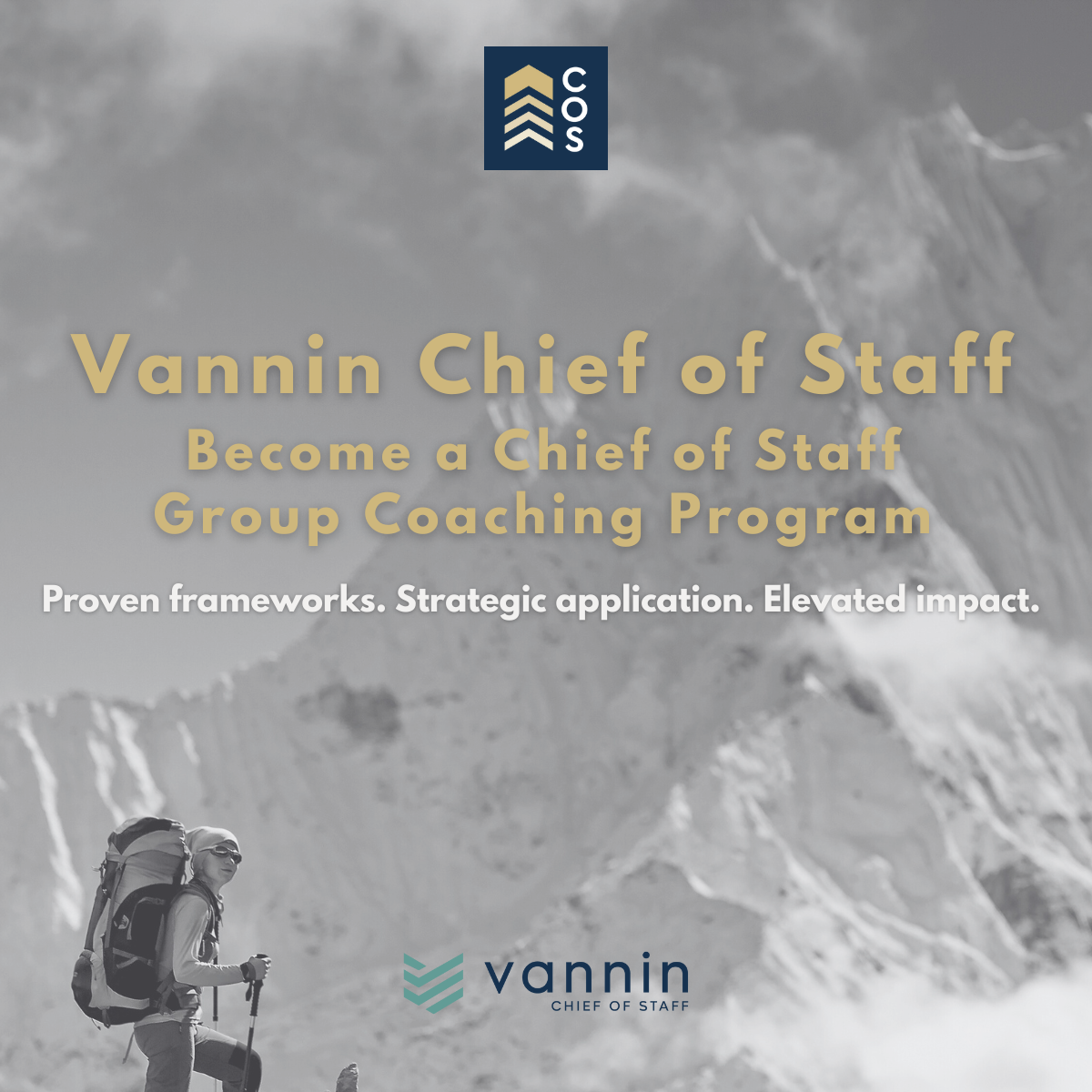 The Vannin Chief of Staff Become a Chief of Staff Group Coaching Program