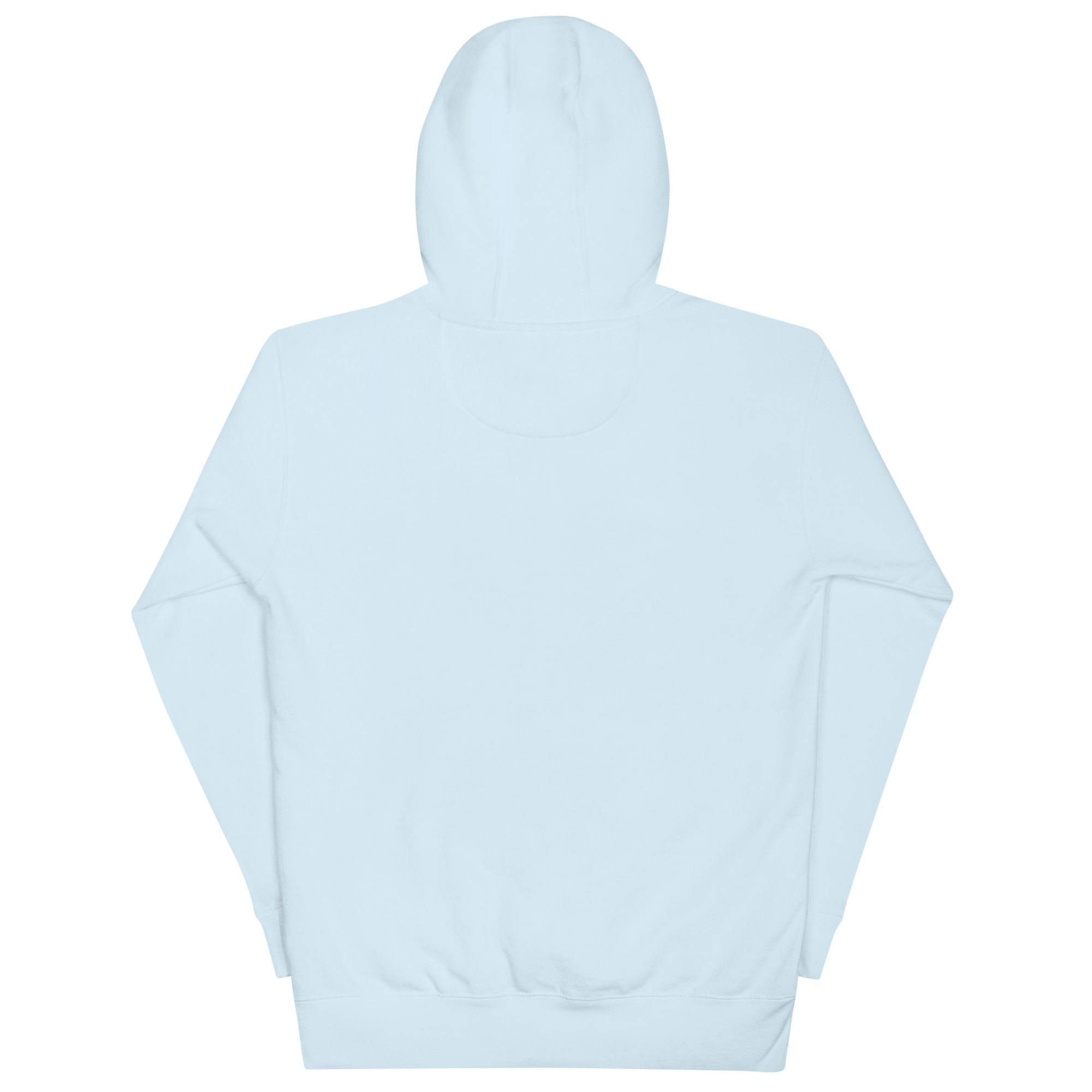 unisex-premium-pullover-hoodie-sky-blue-back-6a80d7189f6e2.png
