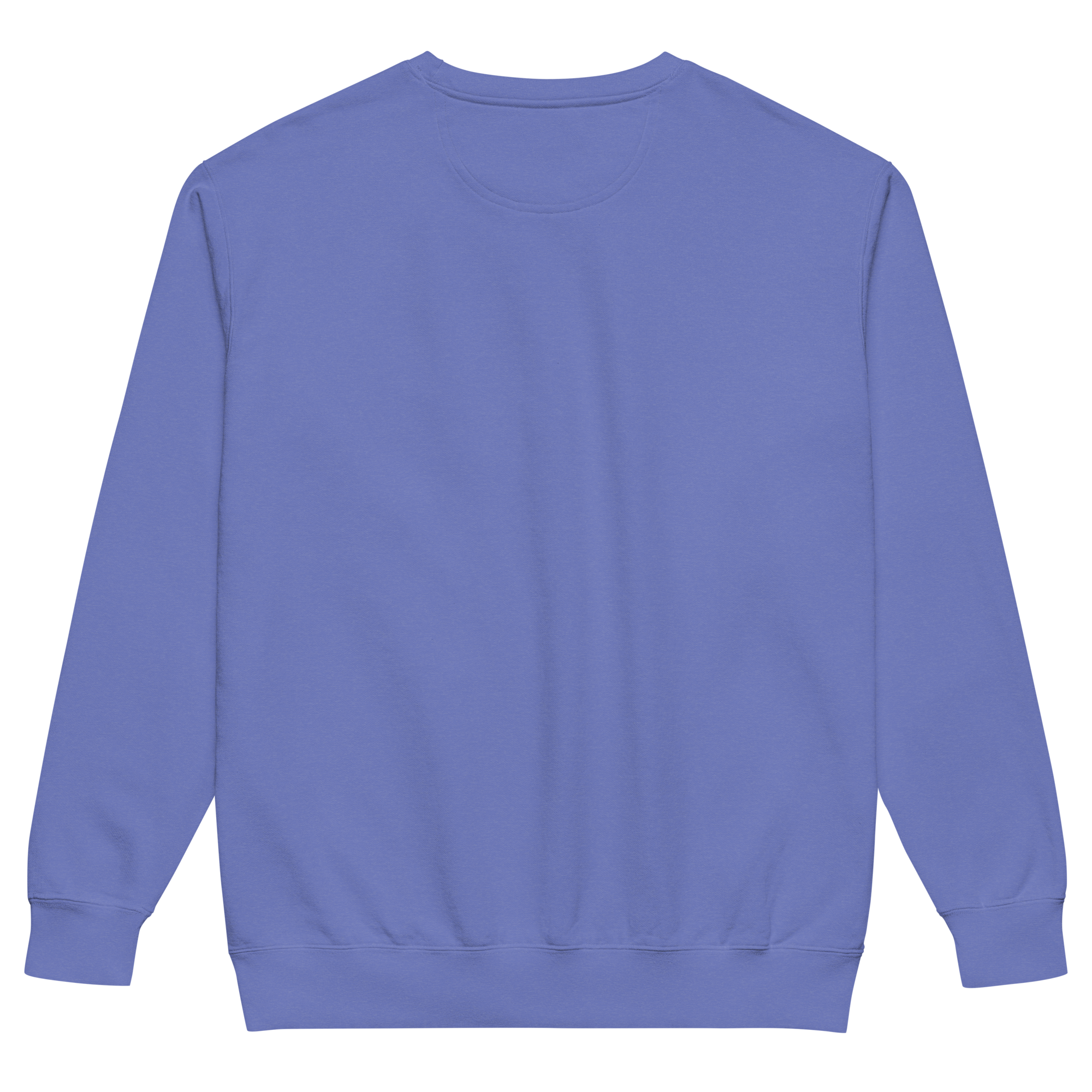 unisex-garment-dyed-sweatshirt-flo-blue-back-6a80d7b9c3acd.png