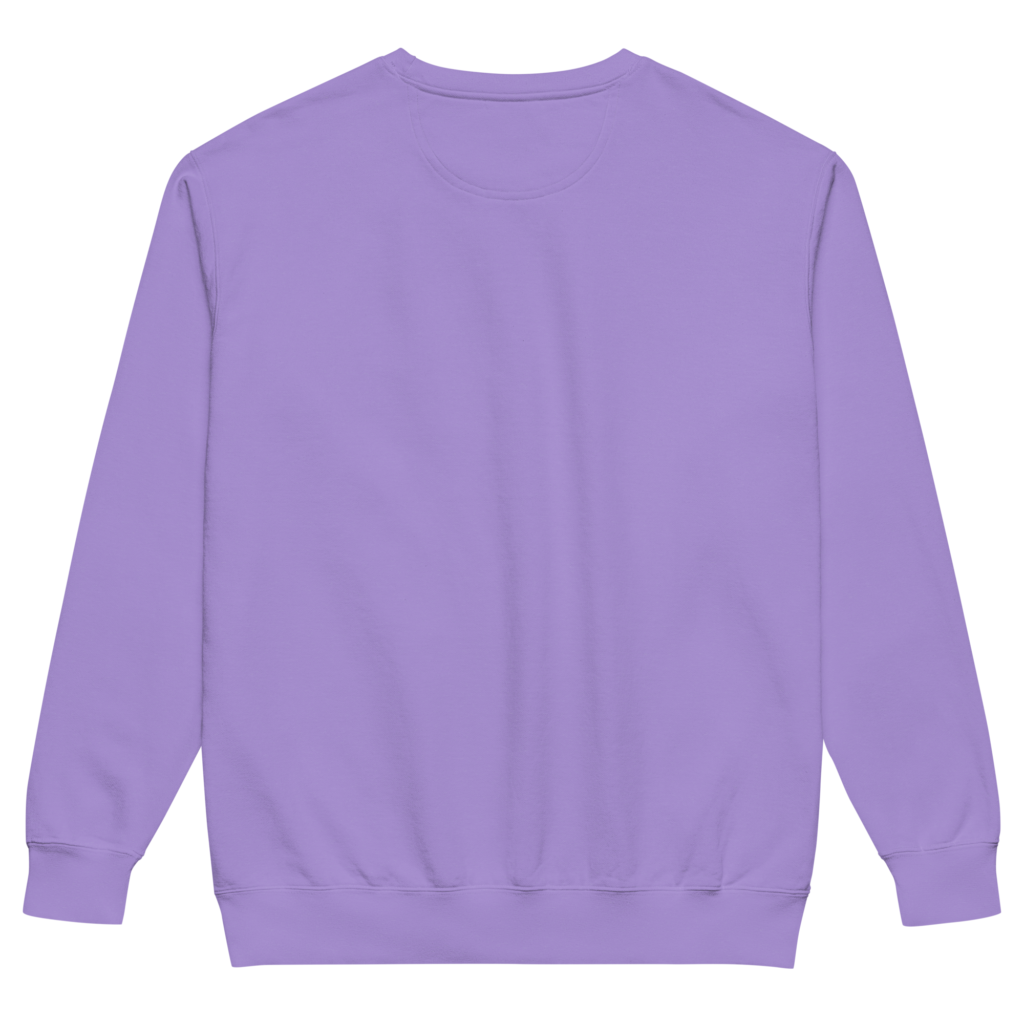 unisex-garment-dyed-sweatshirt-violet-back-6a80d7b9c5048.png