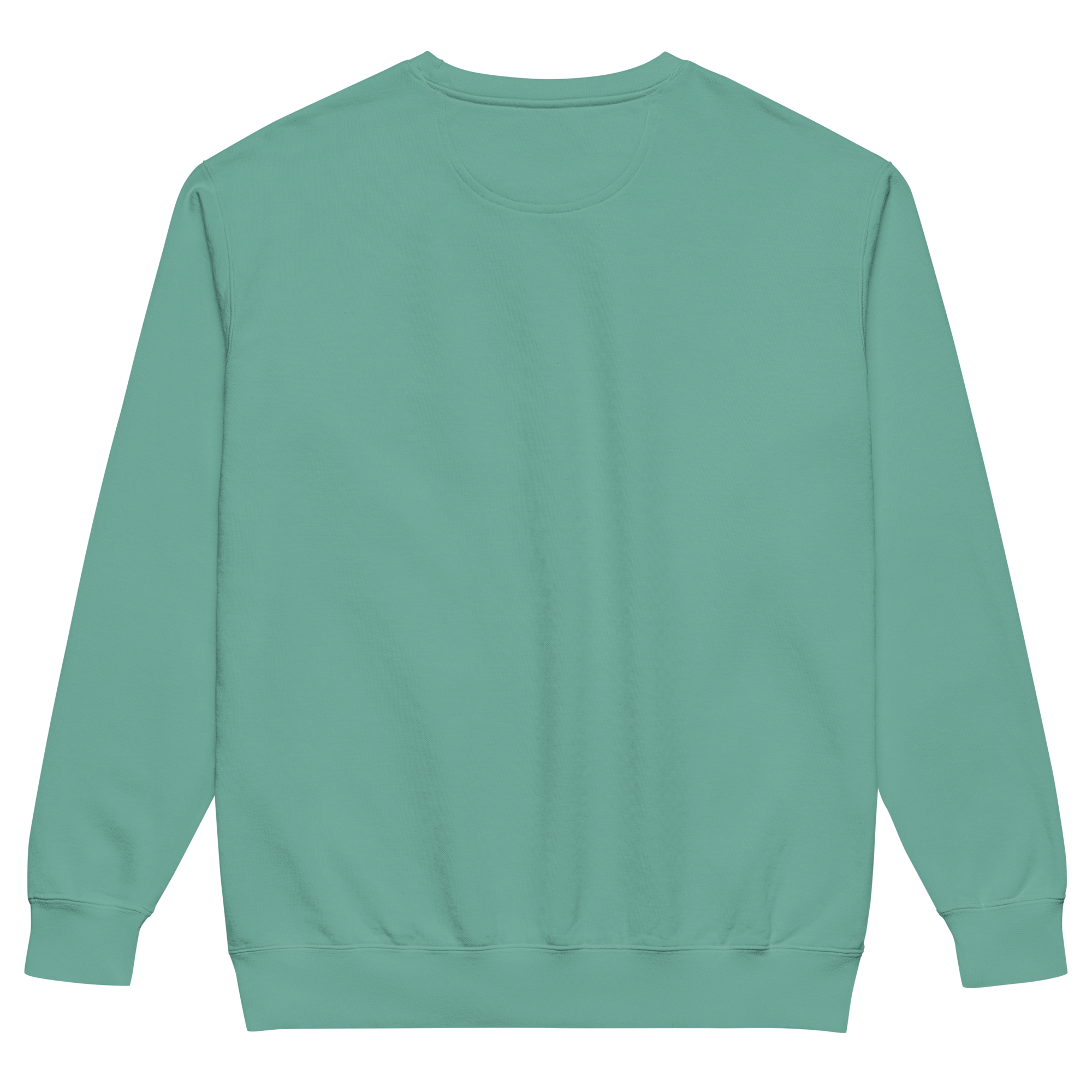 unisex-garment-dyed-sweatshirt-seafoam-back-6a80d7b9c5ebe.png