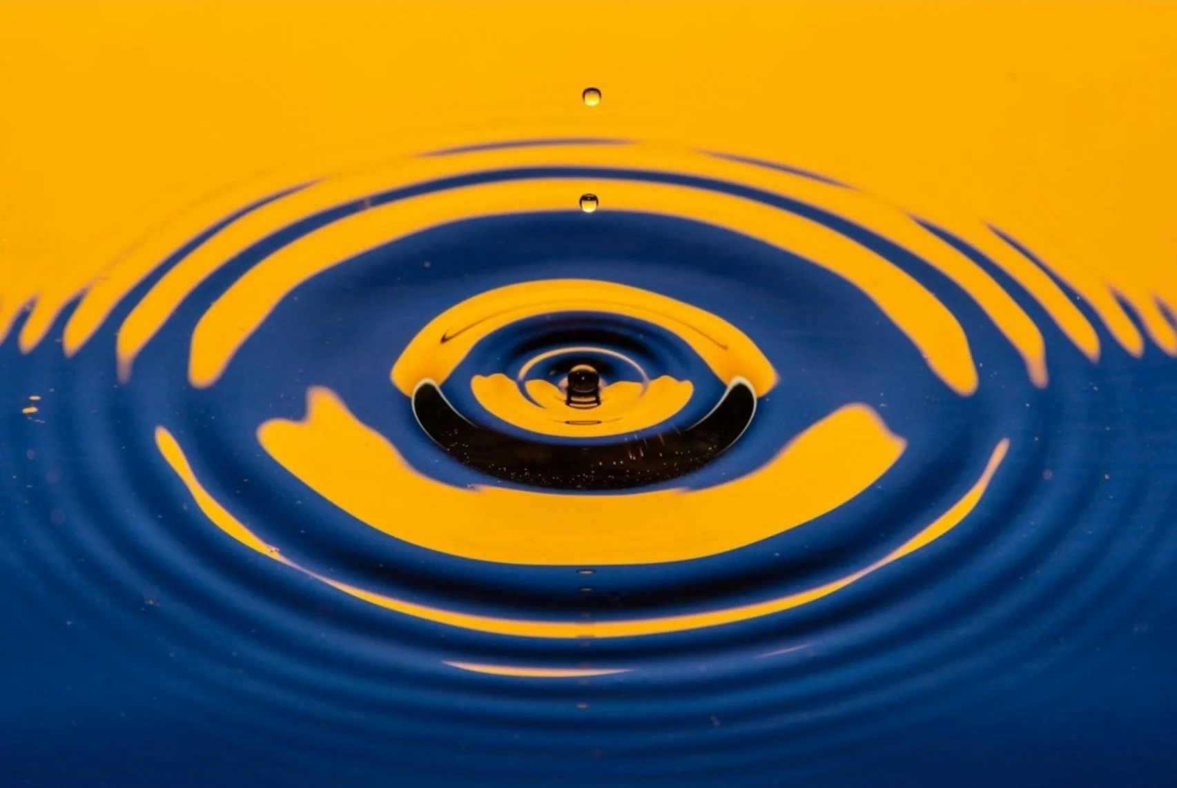 Coaches Mariemont Ohio Swim Team coaches-mariemont-ohio-swim-team