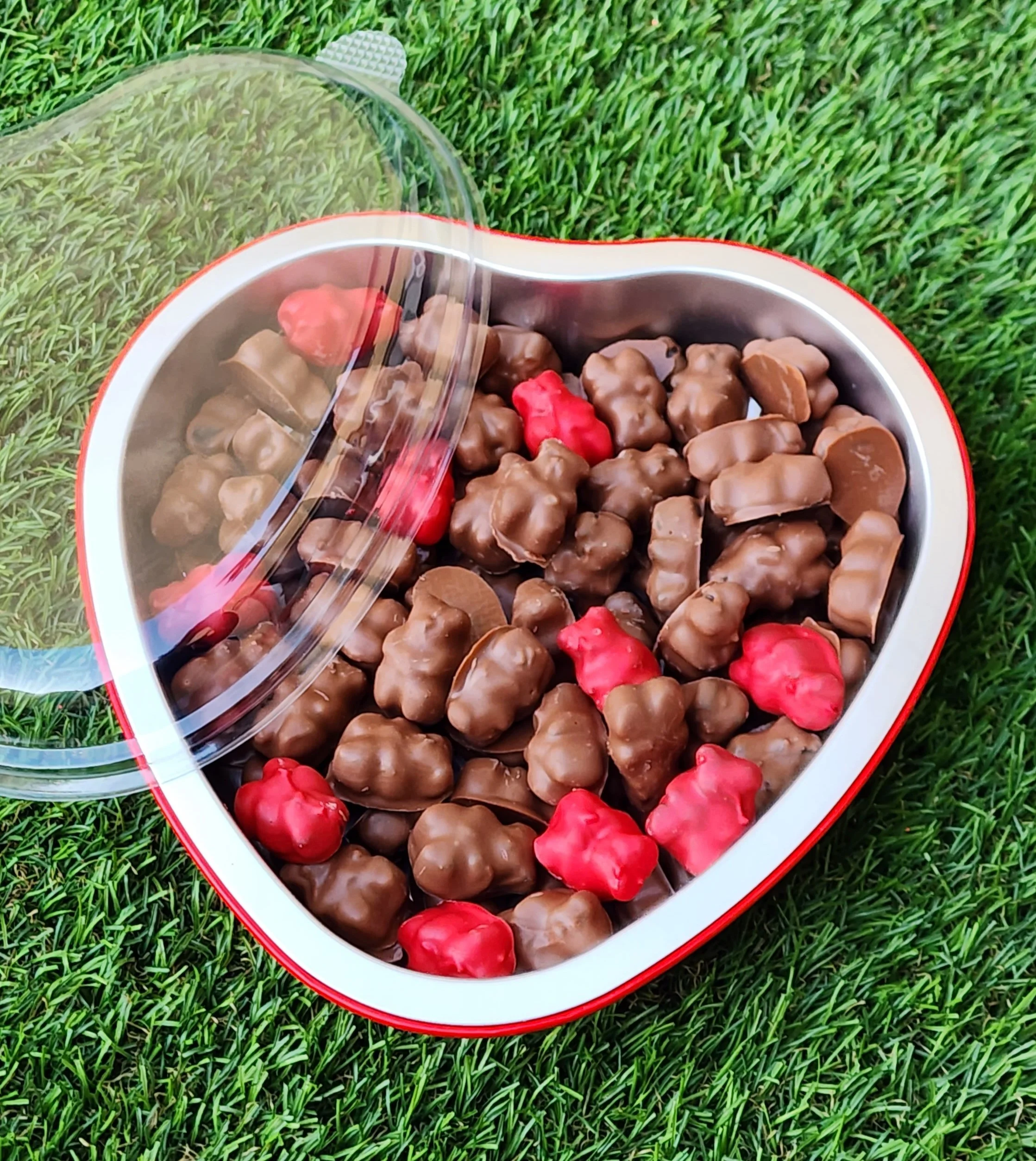 Chocolate covered gummy bears