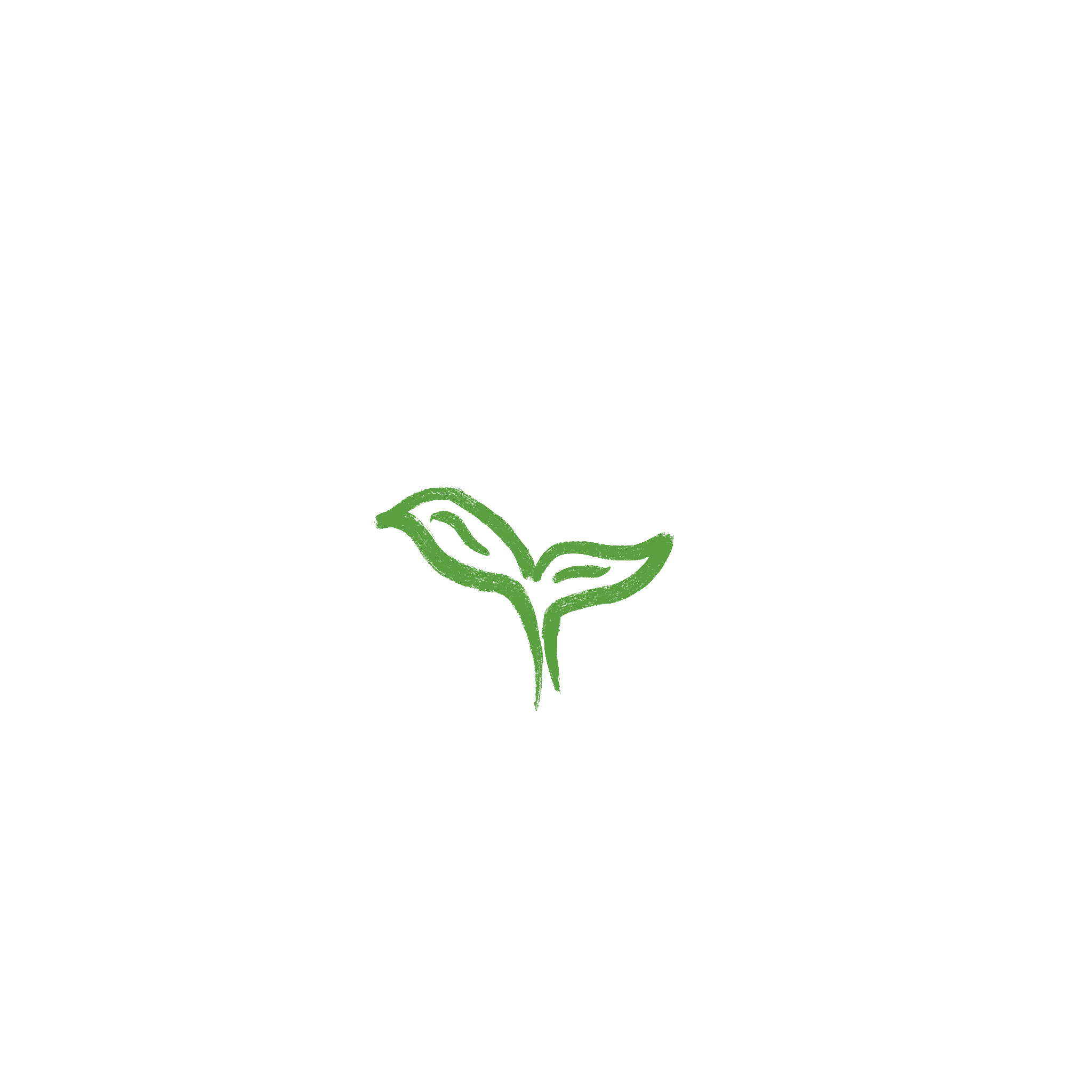 IMG_0039.PNG