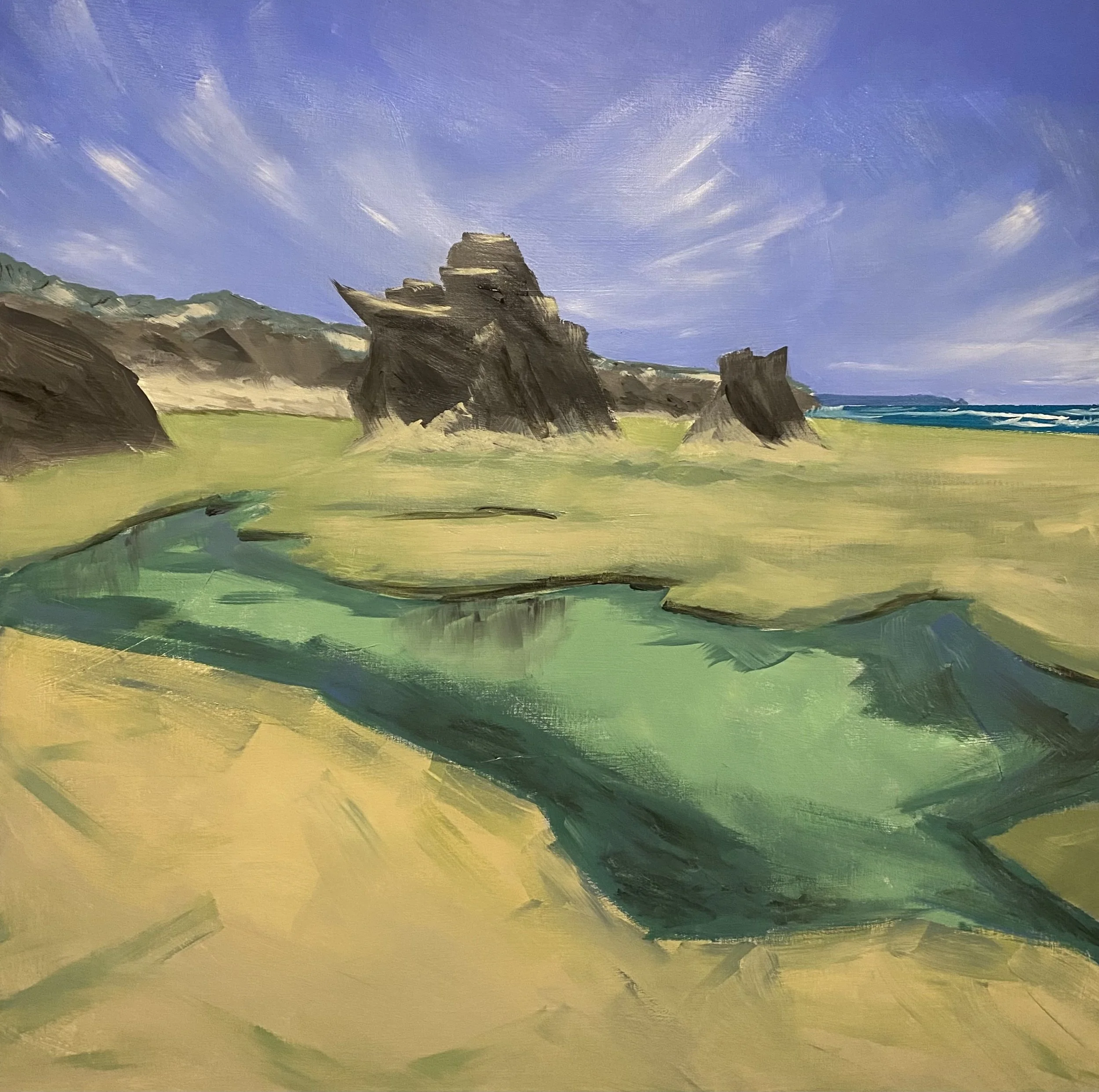 SPRAY POINT 1