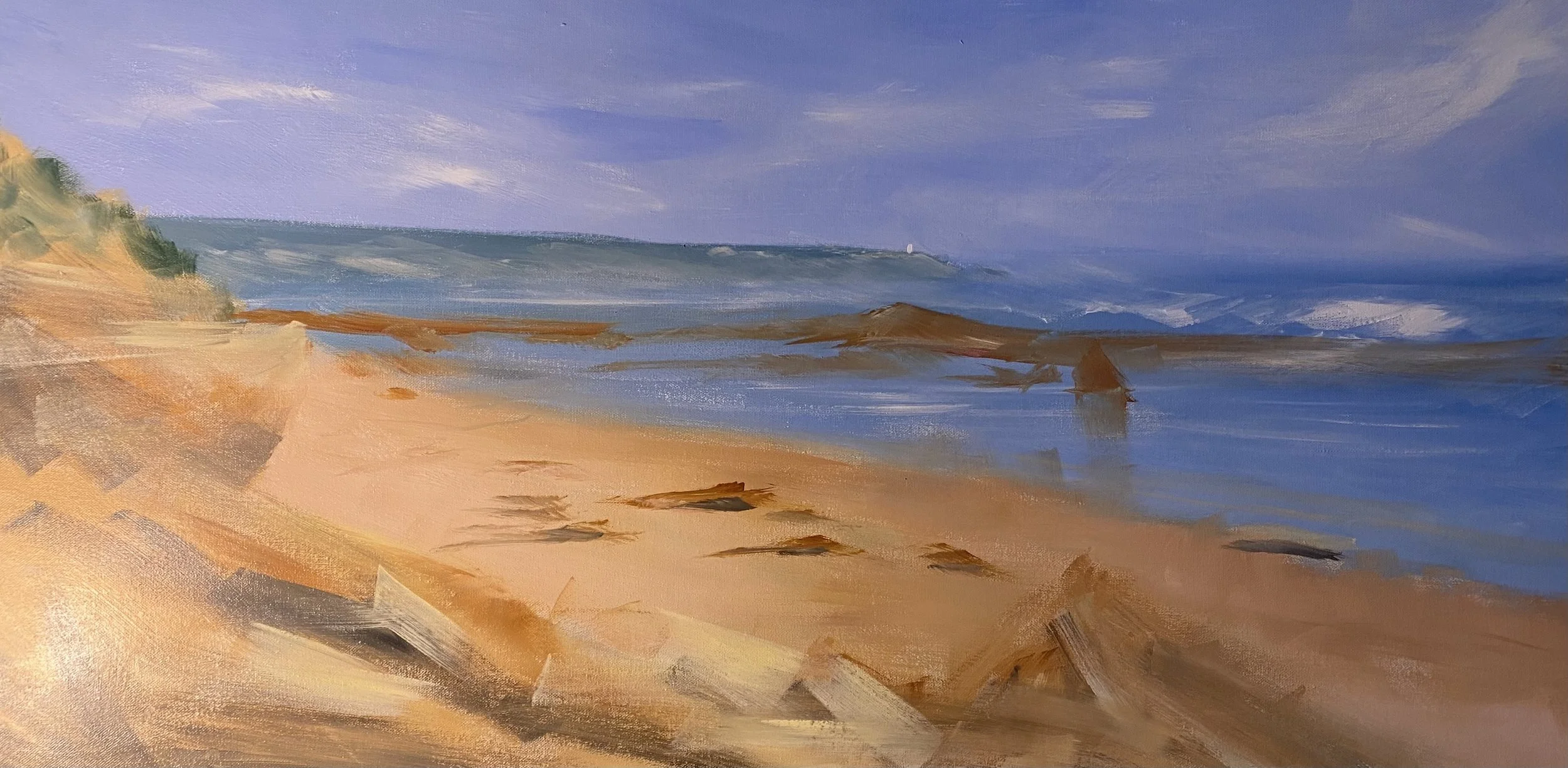 SALT HAZE AT ST ANDREW'S BEACH