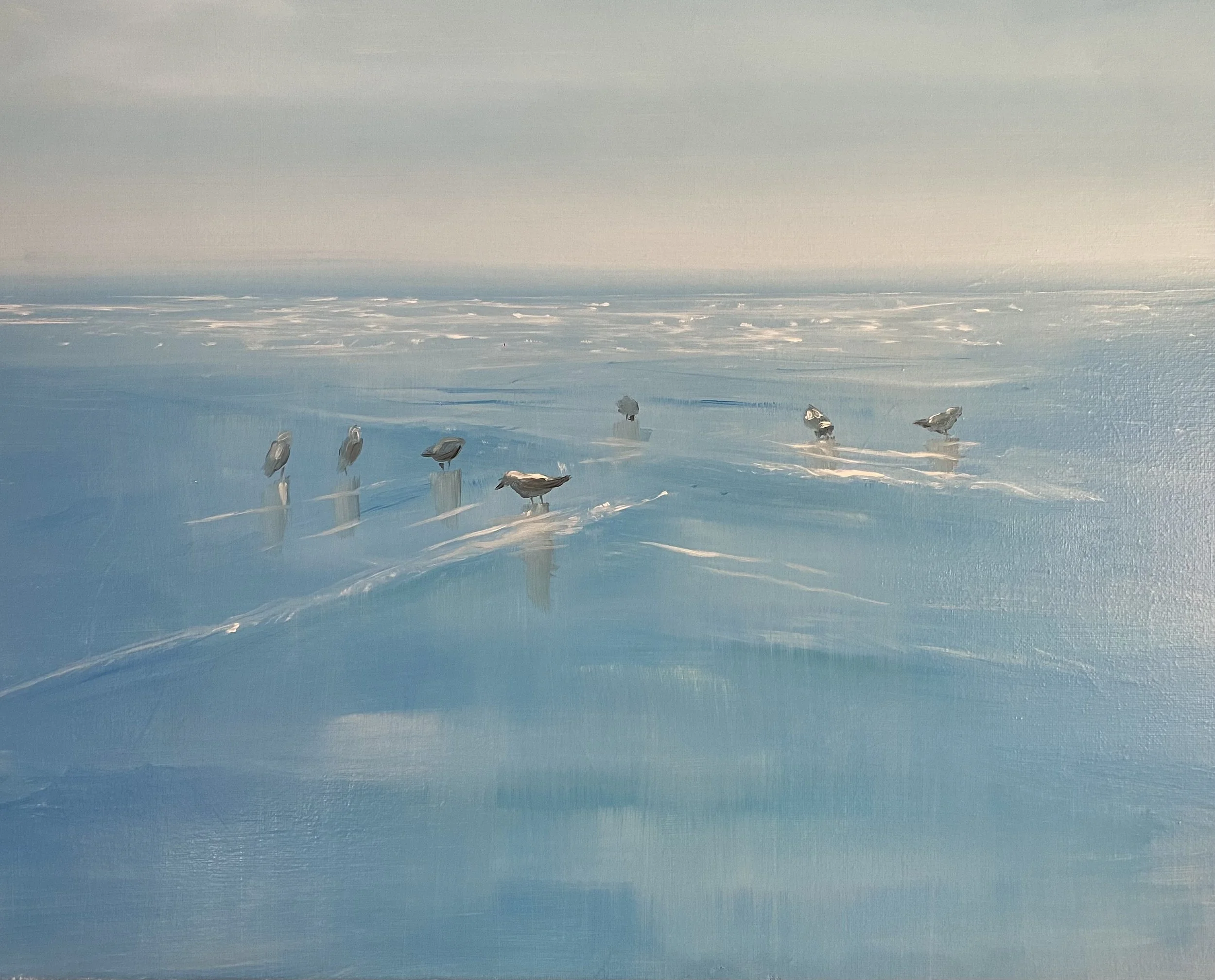SEAGULLS AT CAPEL SOUND