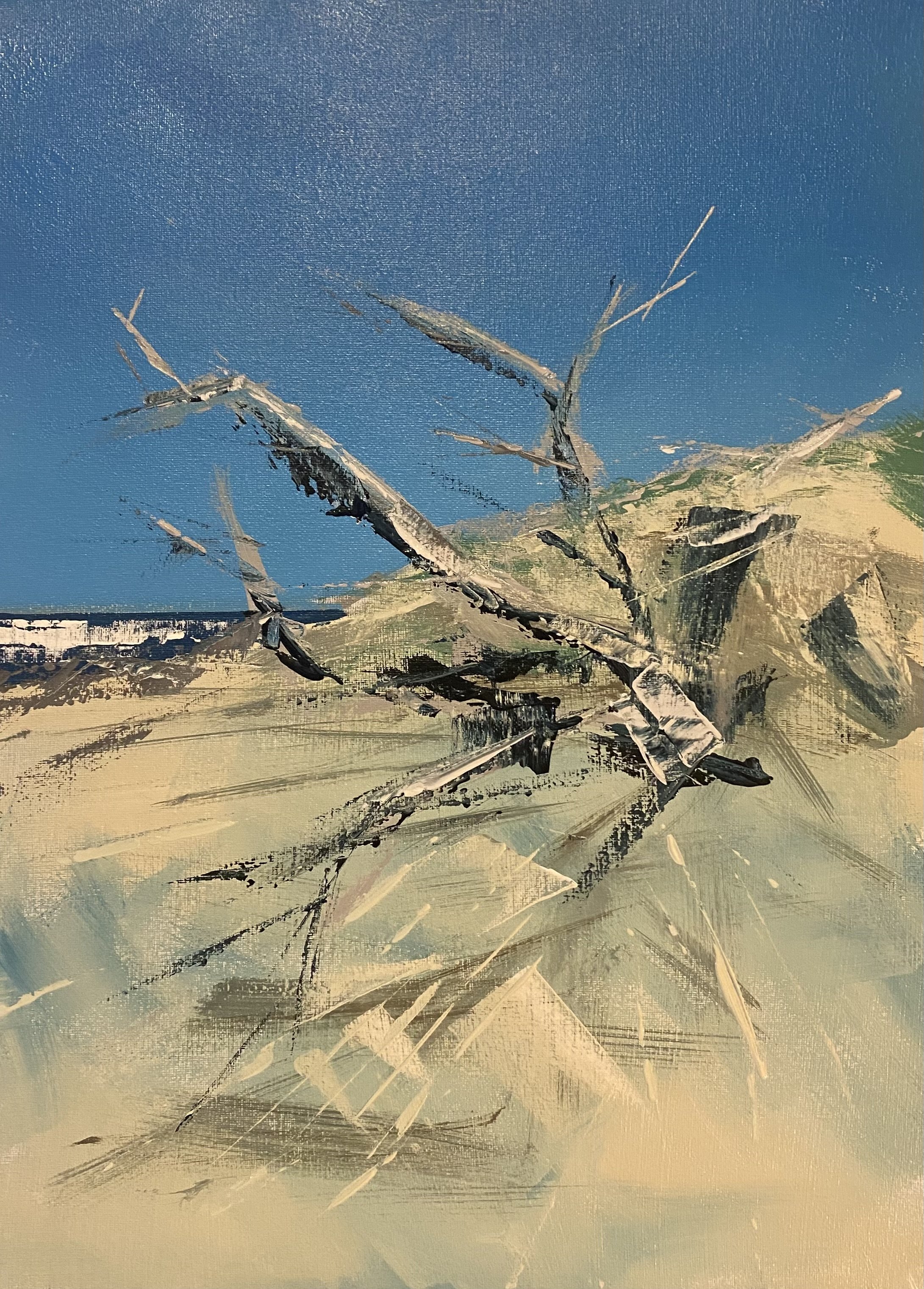 DRIFTWOOD AT POINT NEPEAN