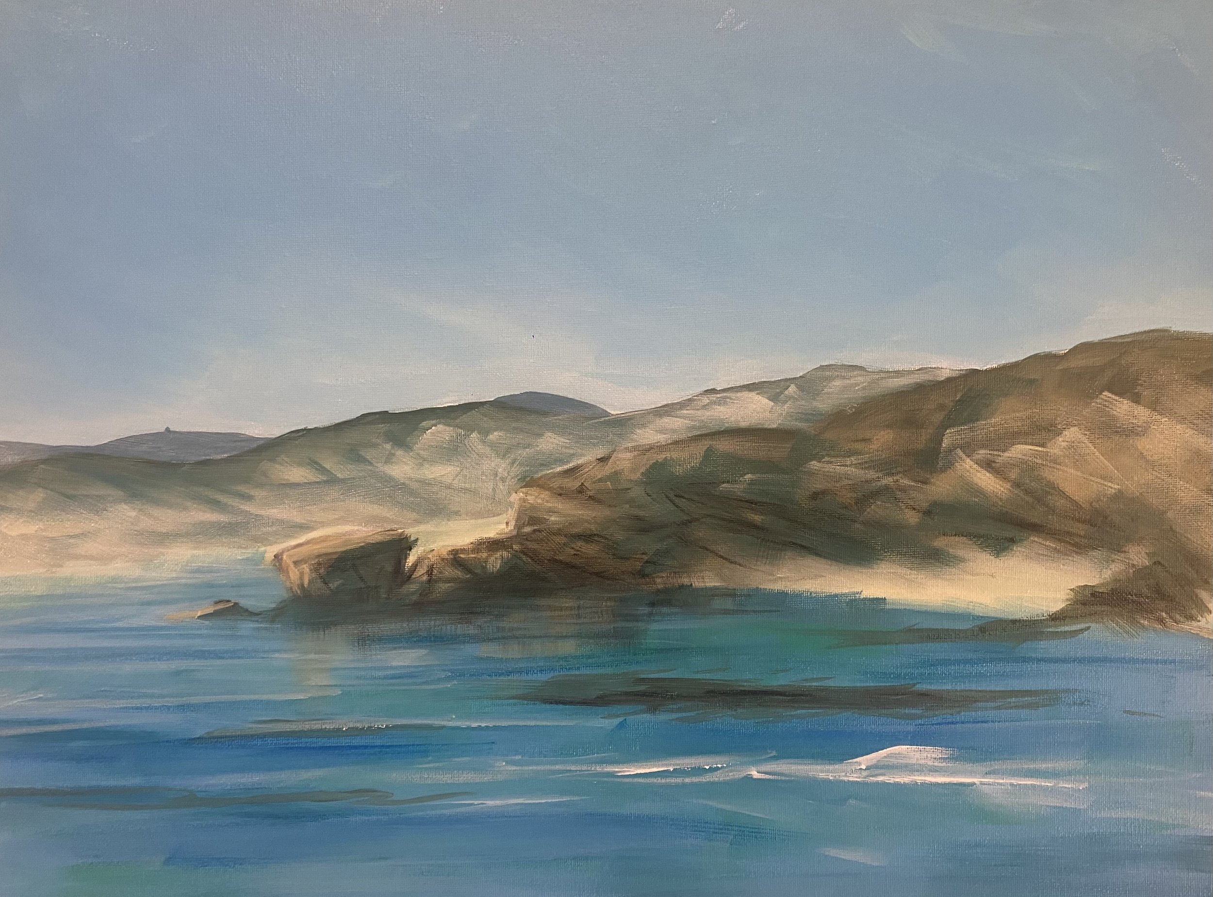 COASTAL CLIFFS OF BLAIRGOWRIE
