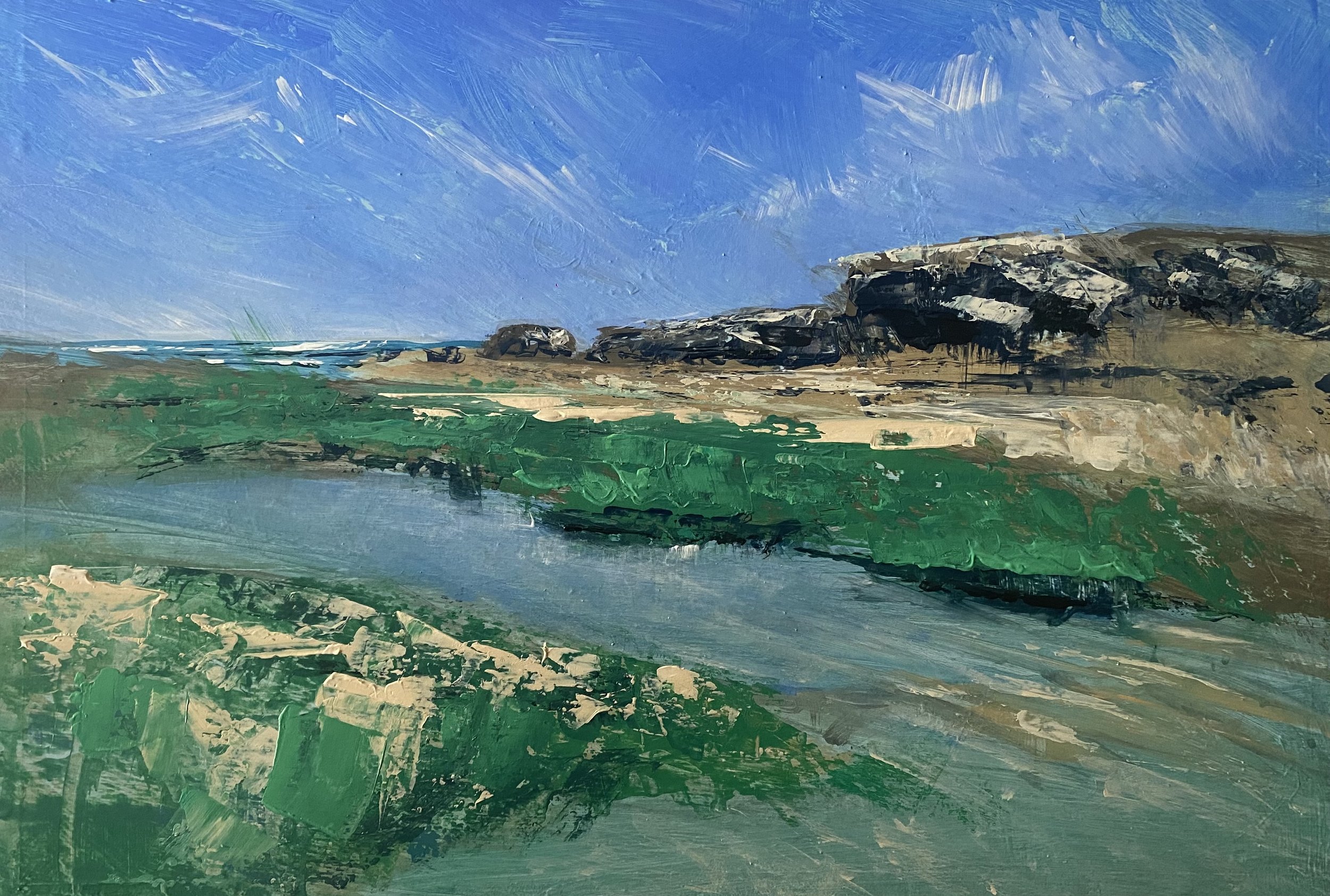 LOW TIDE AT GUNNAMATTA