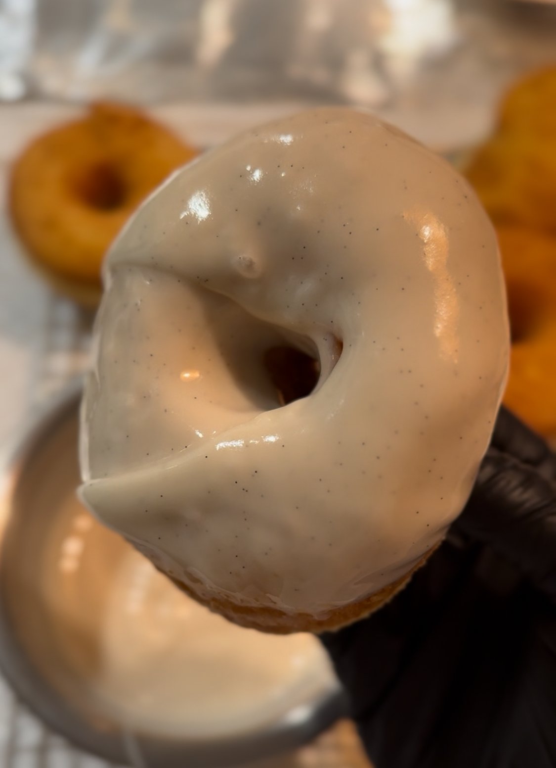 old boy half dozen **FRIDAY 10.31.25**