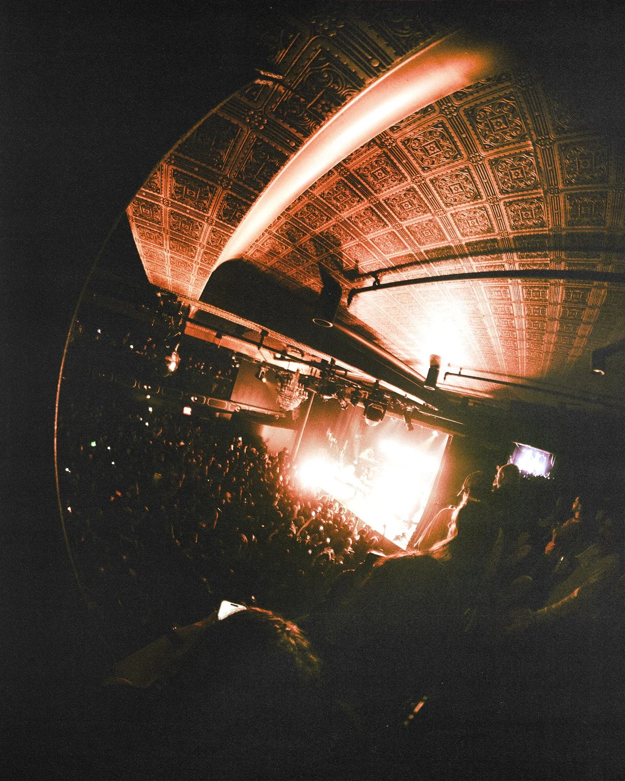 RICO-15.jpg