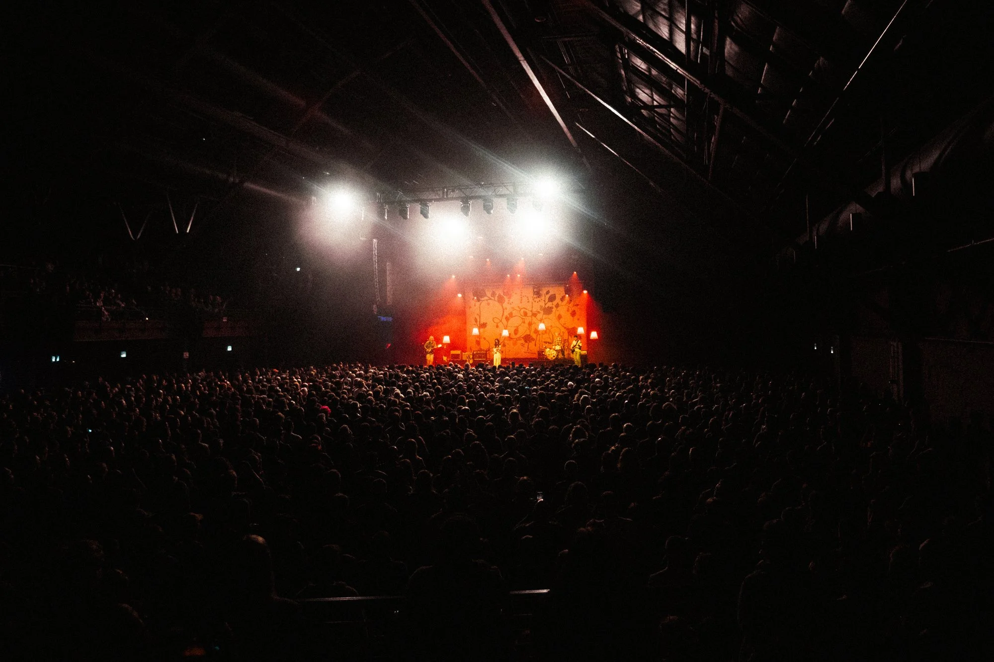 bellapeterson-112325-1409.jpg
