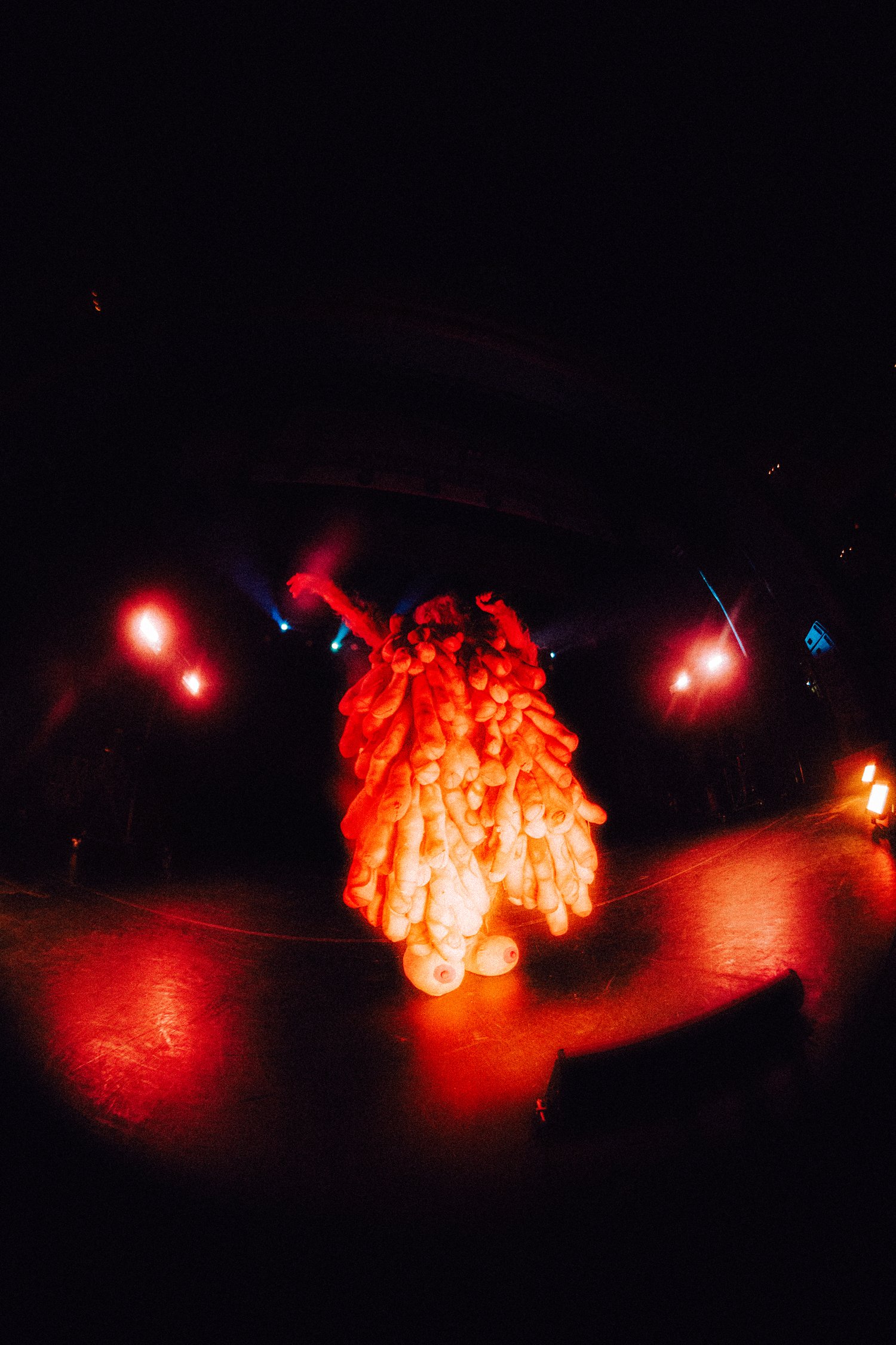 bellapeterson-030726-6419.jpg