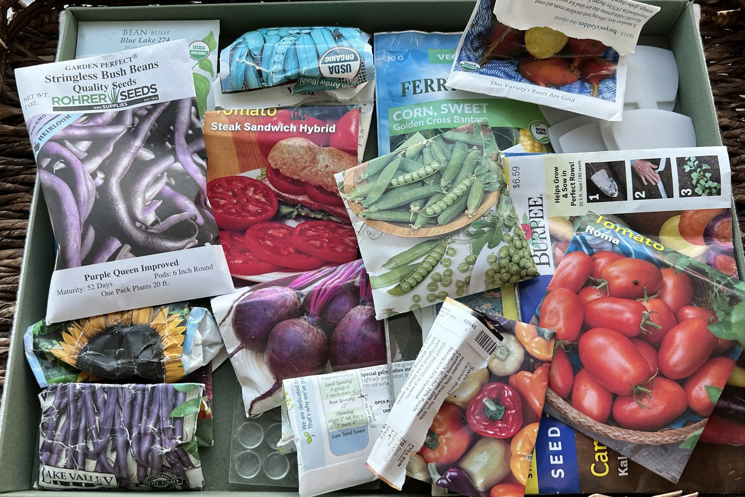 Starting Over in the Garden