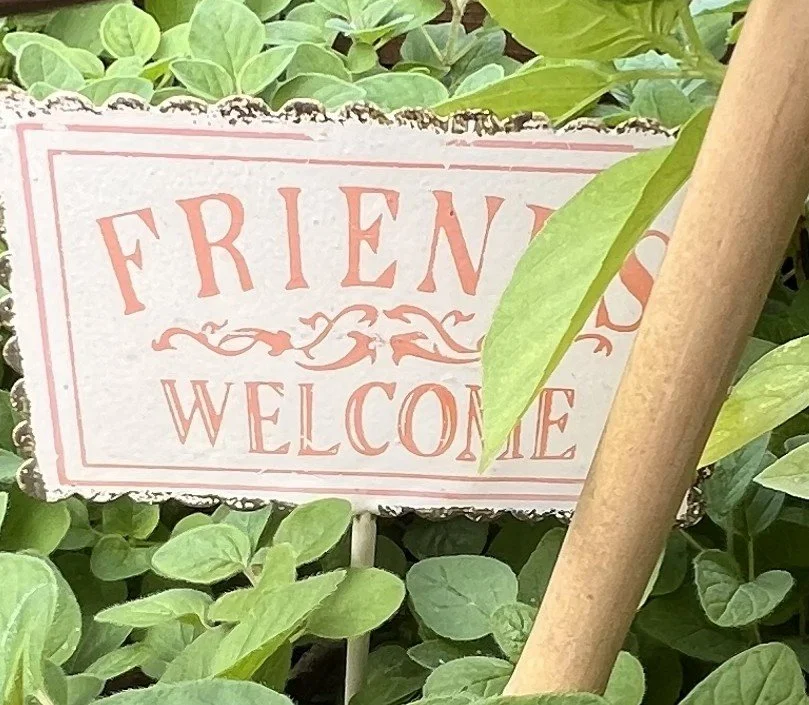 Josie's Garden Chronicles: One Season of Starting Over