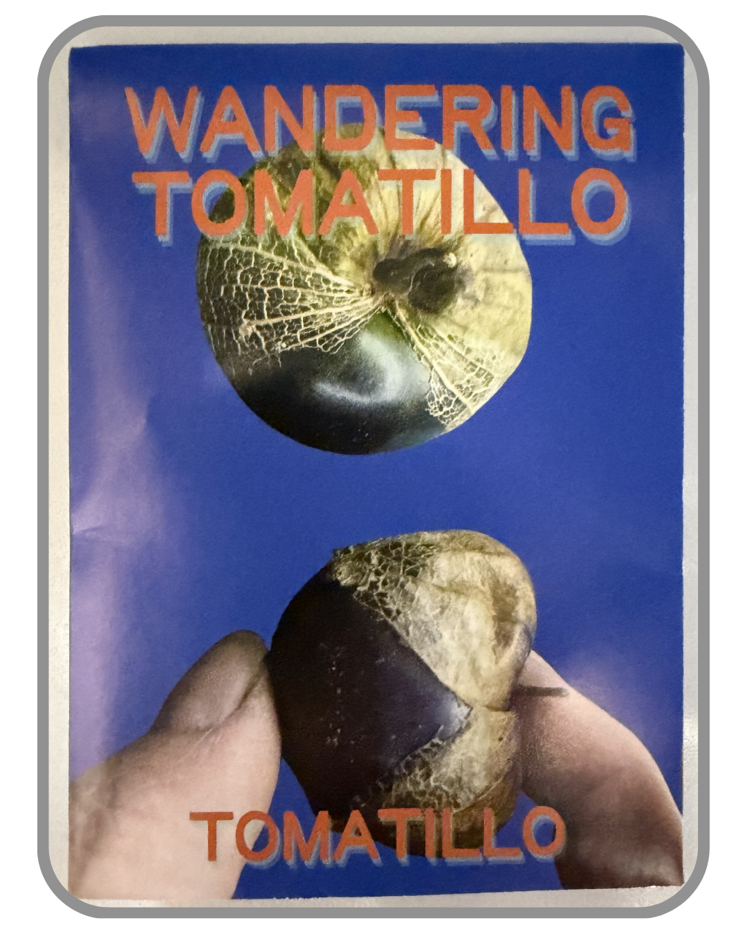 A collection of twelve heirloom seed packet images featuring vegetables grown by farmers and seed stewards in Western North Carolina. Each packet displays a close-up photograph of the crop variety and its name. The varieties include Blue Goose Southe