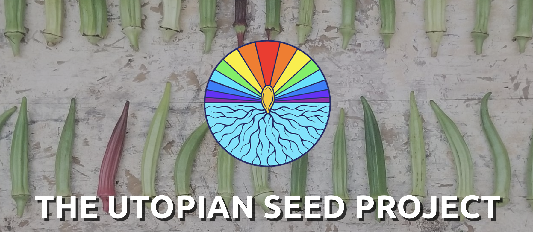 a graphic of the utopian seed project with the logo of a plant an roots surrounded by a rainbow. Background image is of okra set out in rows on the ground.