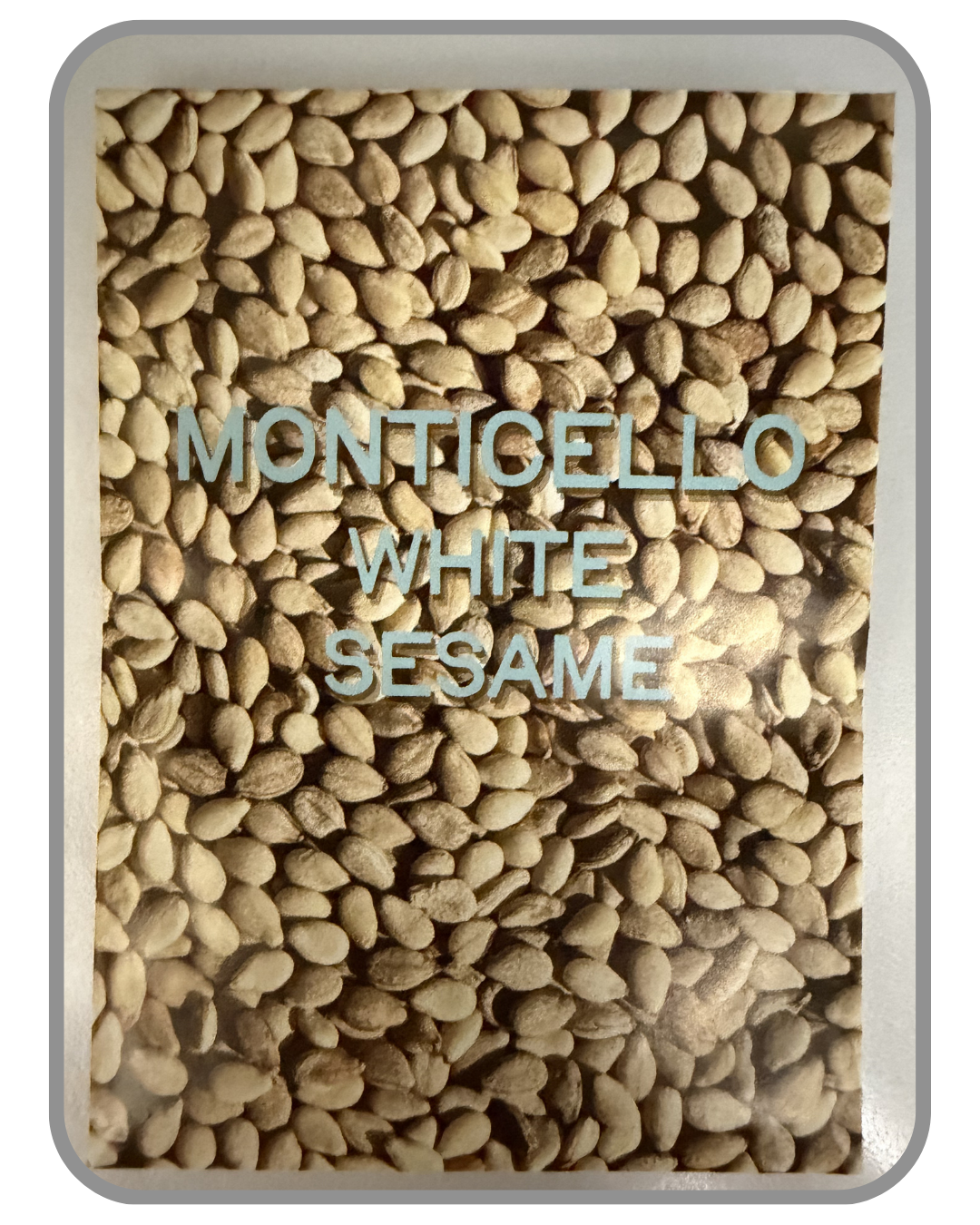 A collection of twelve heirloom seed packet images featuring vegetables grown by farmers and seed stewards in Western North Carolina. Each packet displays a close-up photograph of the crop variety and its name. The varieties include Blue Goose Southe