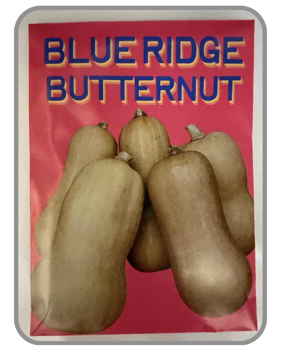 A collection of twelve heirloom seed packet images featuring vegetables grown by farmers and seed stewards in Western North Carolina. Each packet displays a close-up photograph of the crop variety and its name. The varieties include Blue Goose Southe