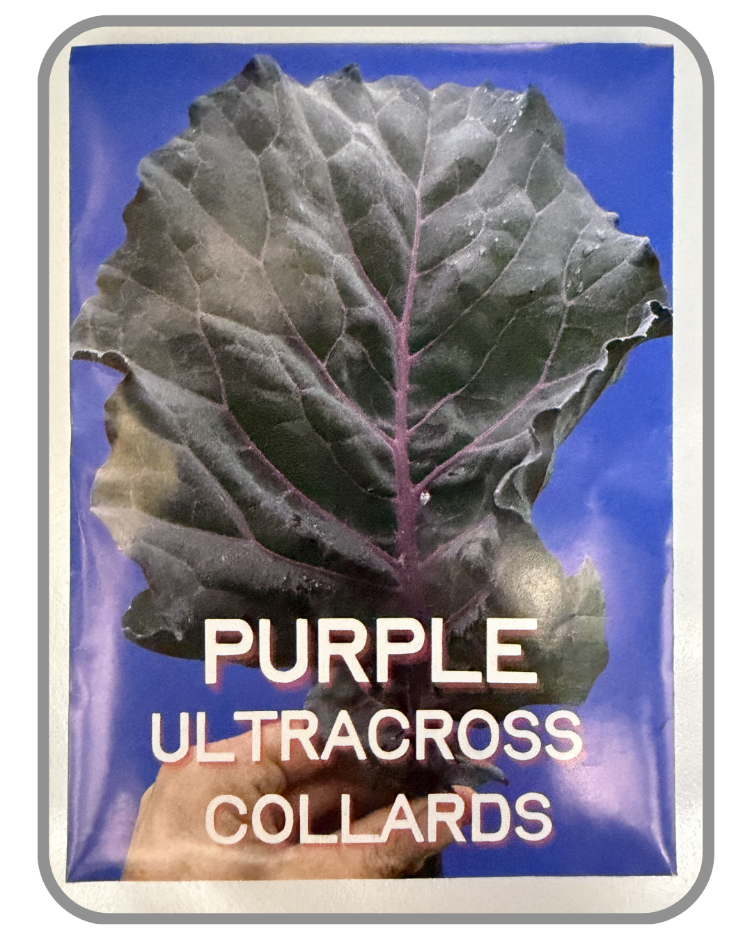 A collection of twelve heirloom seed packet images featuring vegetables grown by farmers and seed stewards in Western North Carolina. Each packet displays a close-up photograph of the crop variety and its name. The varieties include Blue Goose Southe