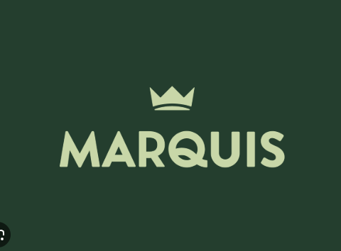 Screenshot 2025-08-10 at 11.16.22 PM.png