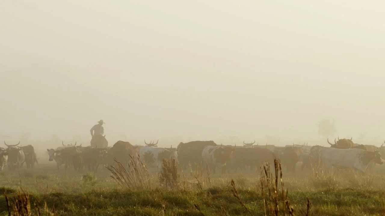 Cowboys and Scientists