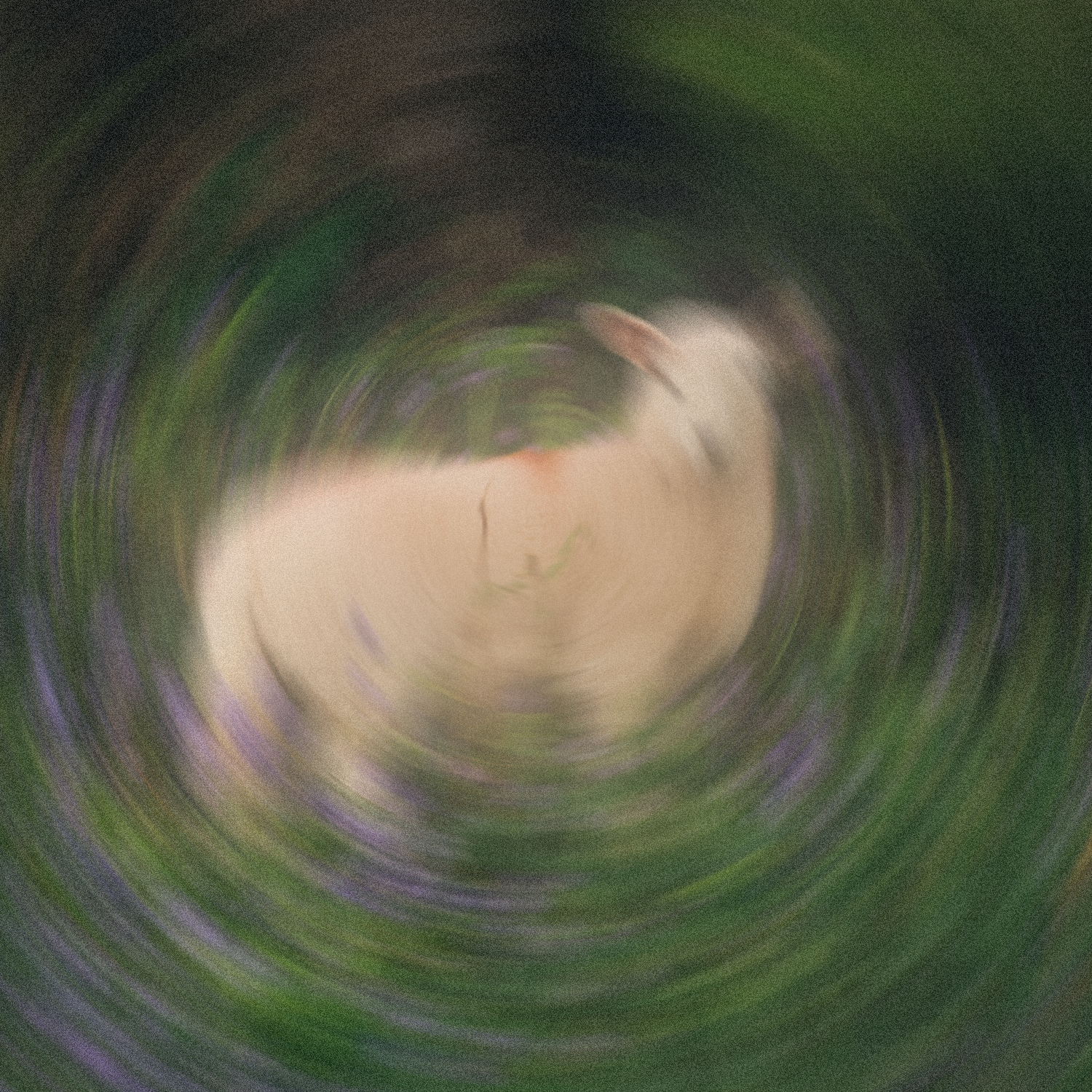 The Blood Still Works - Multitracks