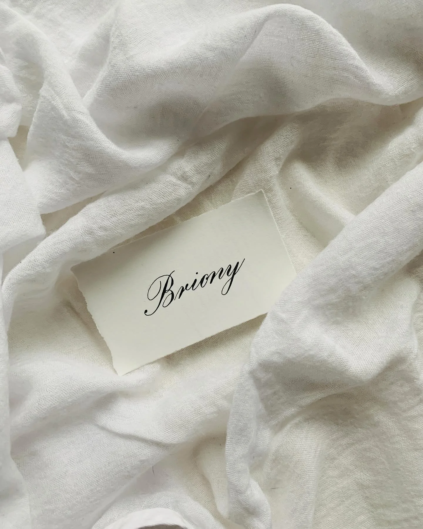 The simplicity of a placecard in Engrosser&rsquo;s Script ✨

To help you set the tone at your next event - 

hello@studioheidi.com.au

STUDIO HEIDI

Calligraphy | Engraving | Botanical Illustration

#placecard #placecards #placecardcalligrapher #plac