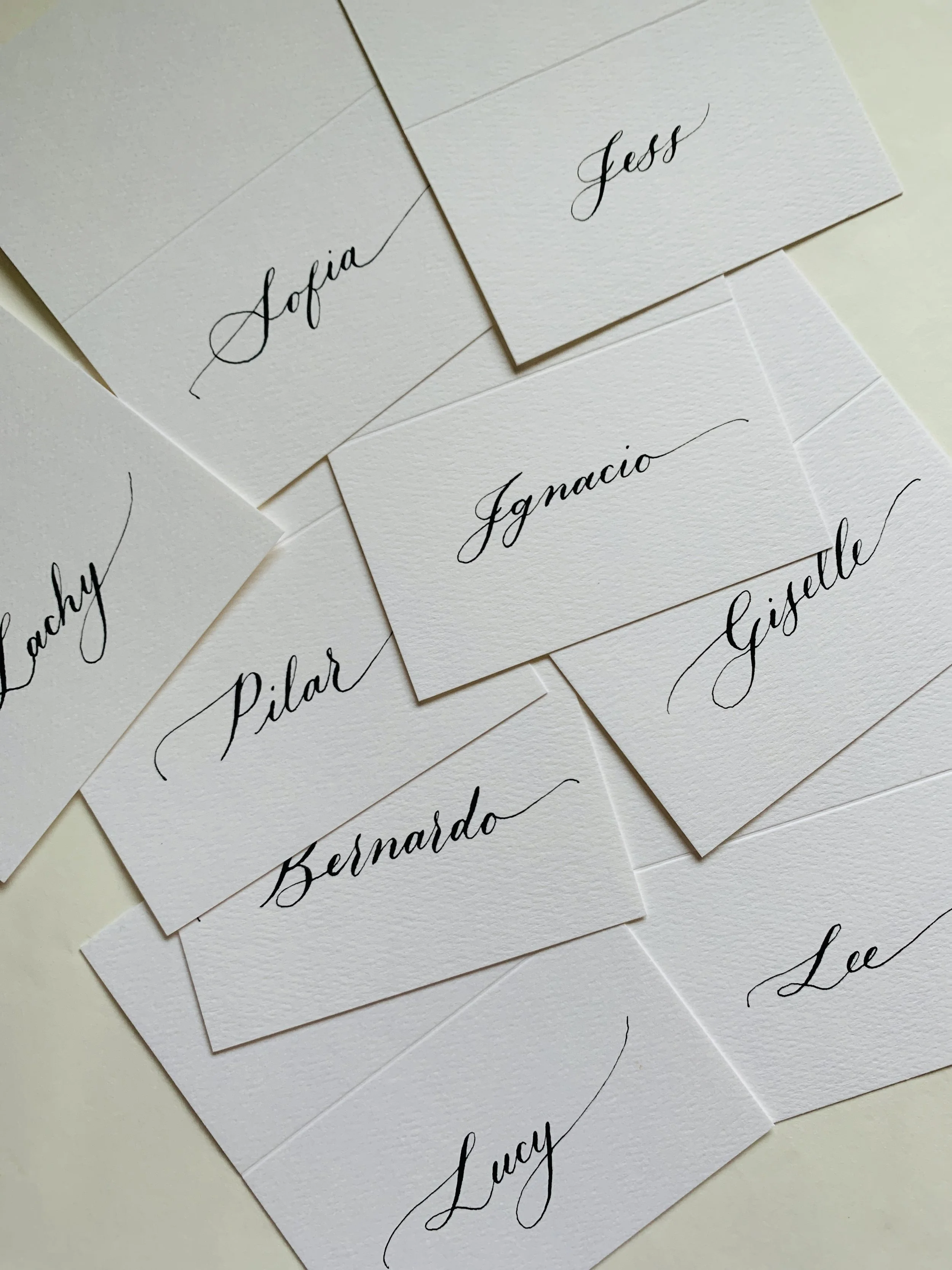 Melbourne Calligrapher, Luxury Calligrapher, Modern Calligrapher, Hot Gold Foiling, Calligrapher, Luxury Engraving, Placecards,  Brand Activations, Live Events, On-site Calligrapher, Live Calligraphy, Botanical Illustration, Botanical Illustrator