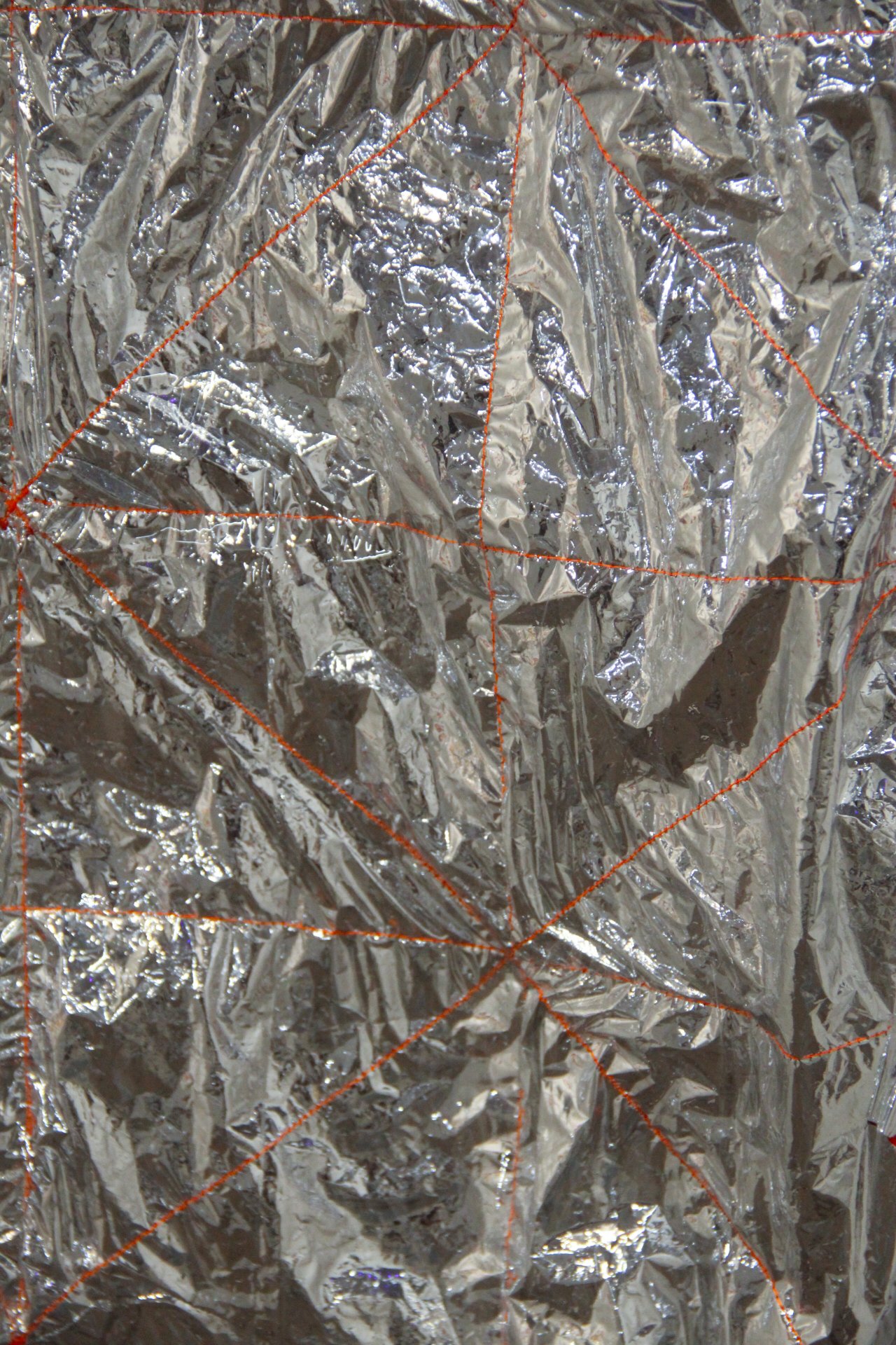 metamorphose detail-2.jpg