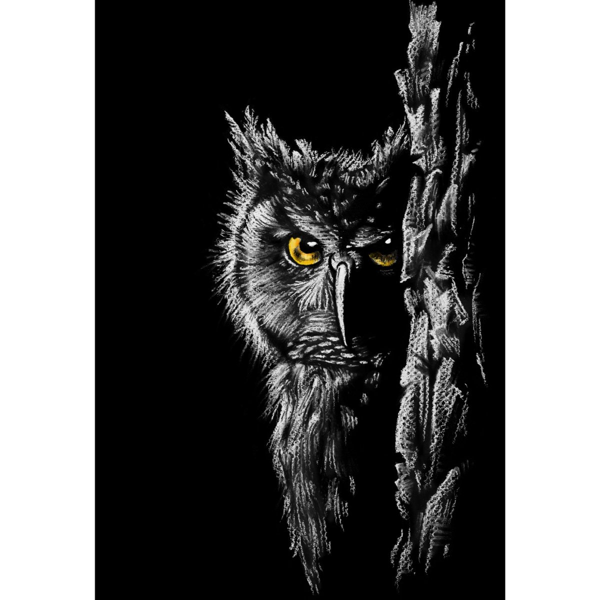 Art Print_Owl Nocturnal.jpg