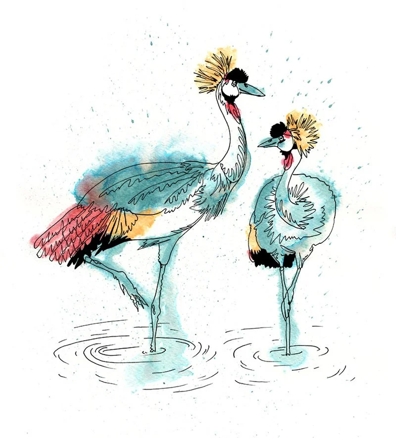 B&W crane Colour 72dpi 1200px.jpg