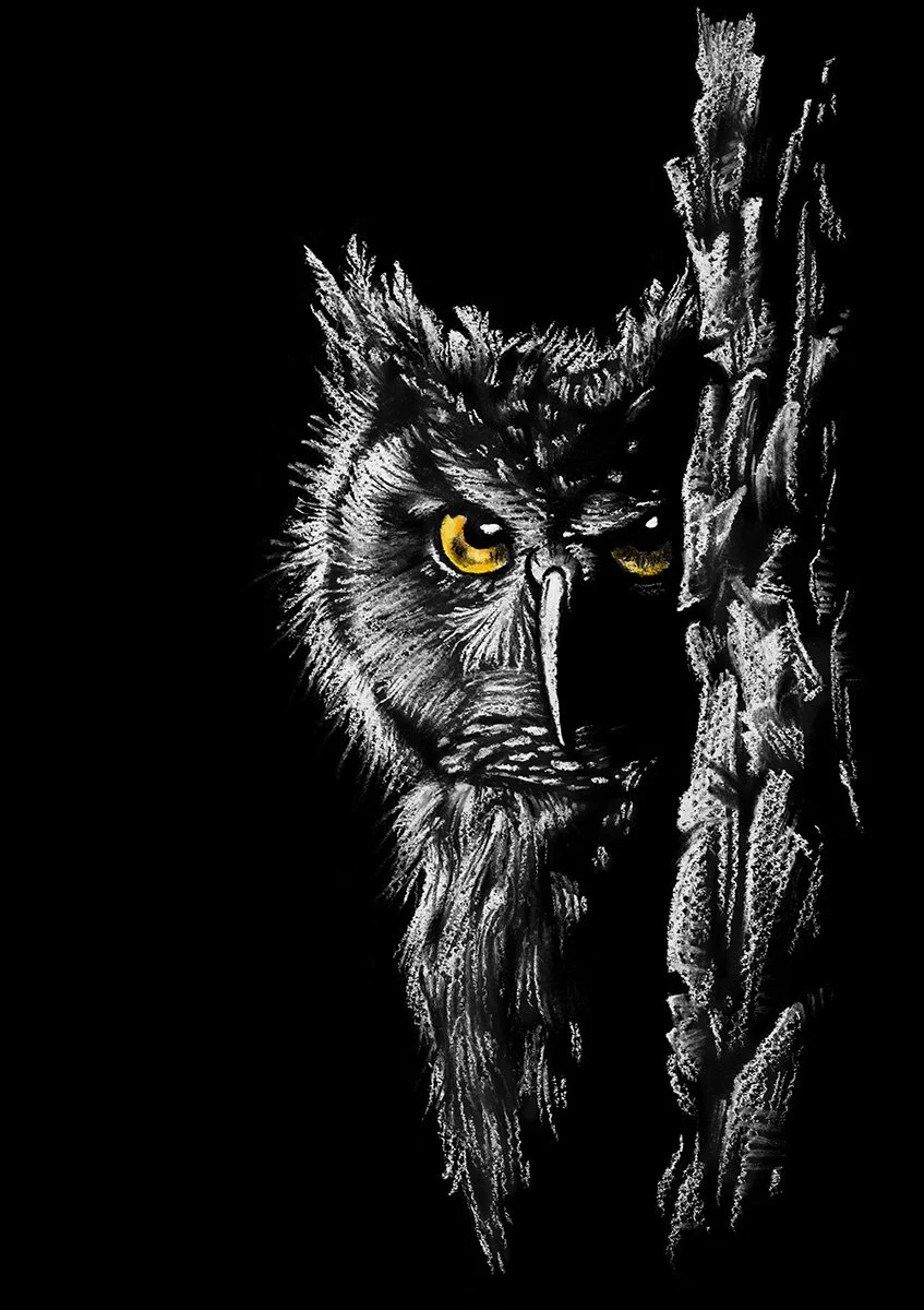 Owl Night 72dpi 1200px.jpg