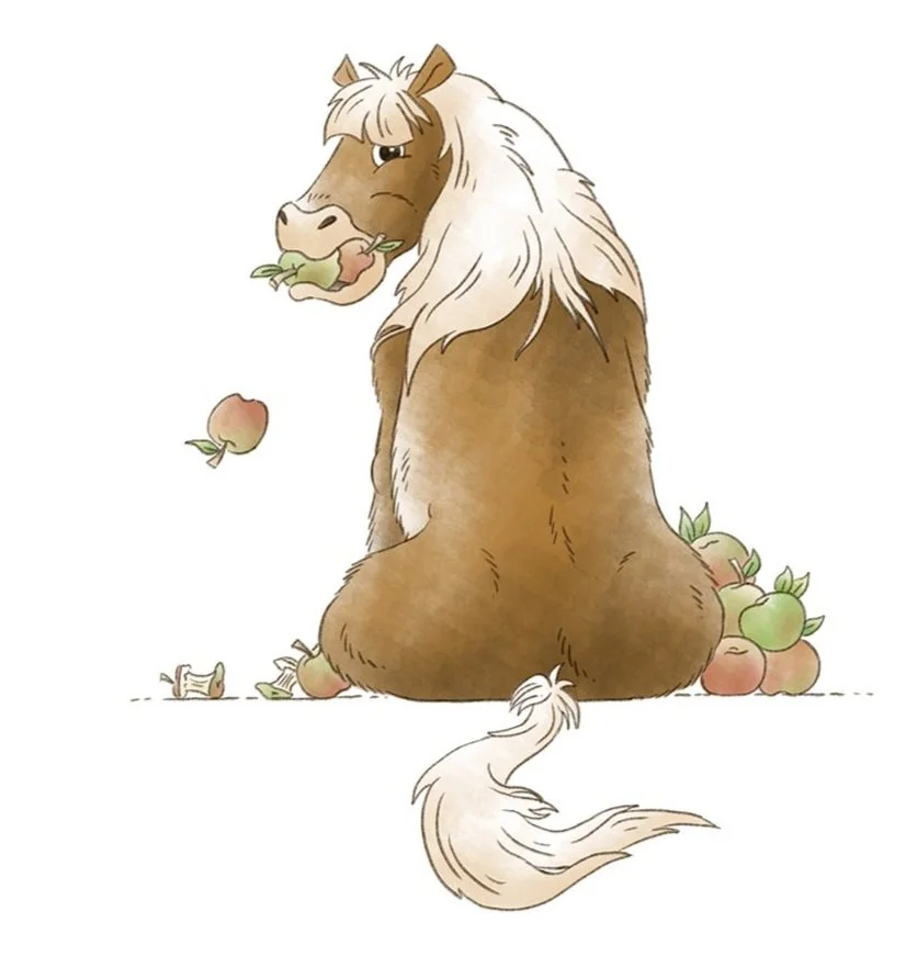 Shetland Apple S3 72dpi 1200px.jpg