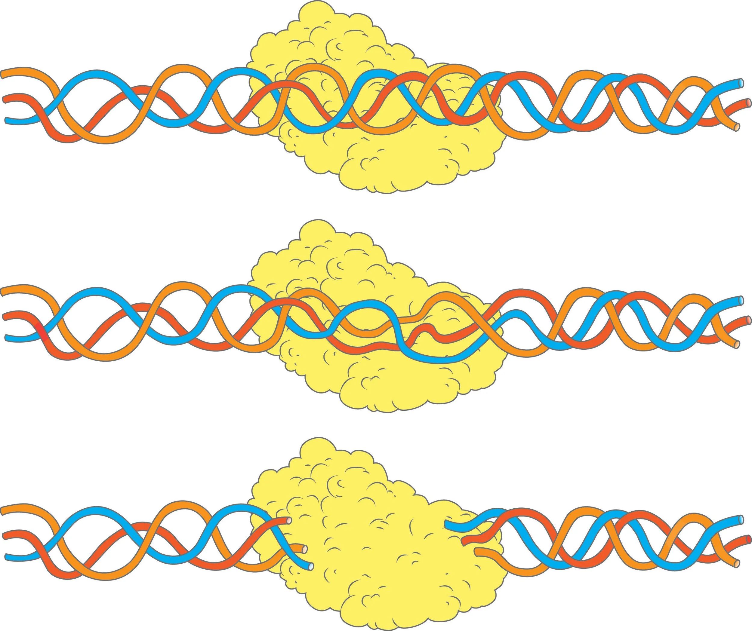 Collagenese Molecule Final RGB.jpg